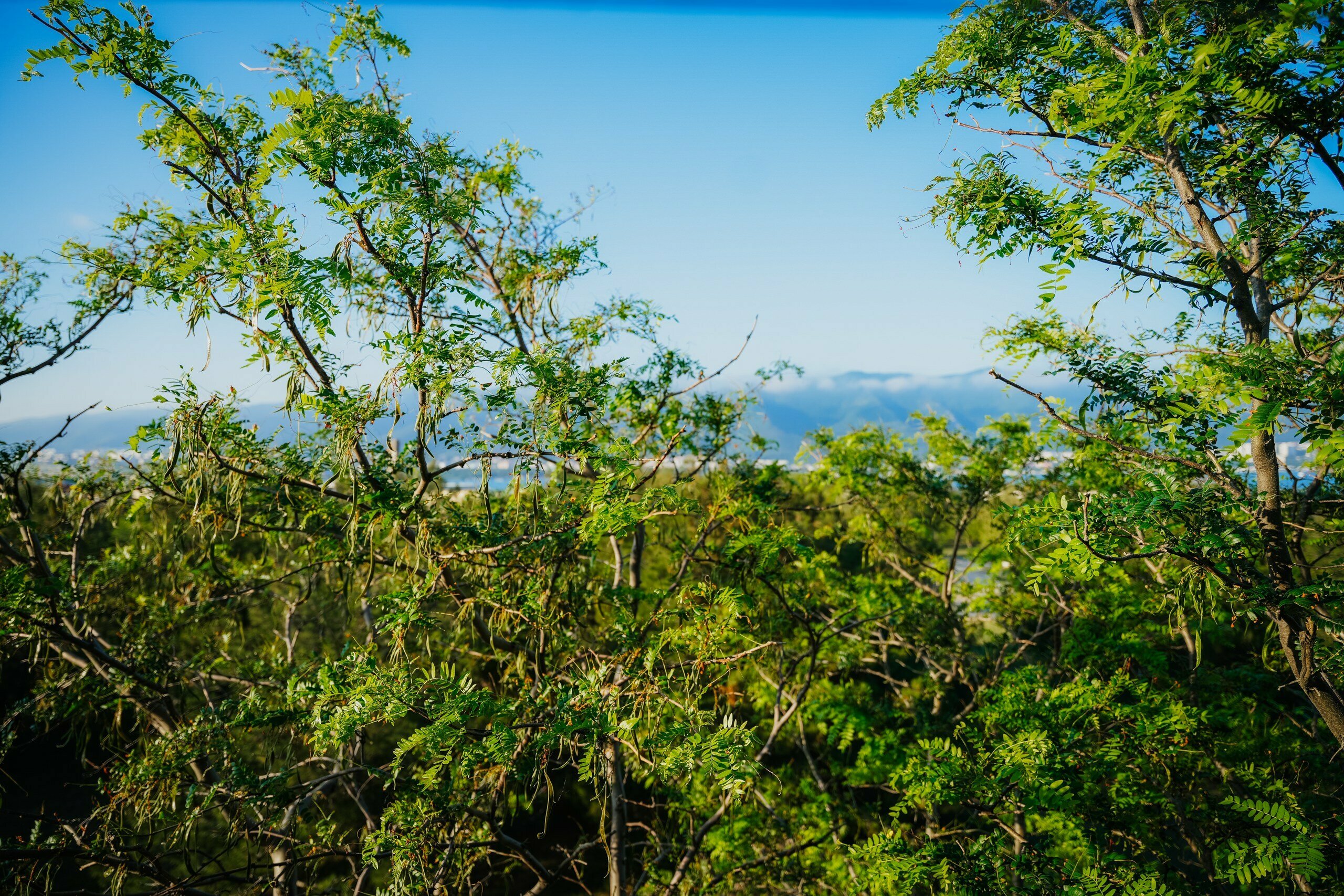 Двухместный номер с 1 кроватью и видом на море