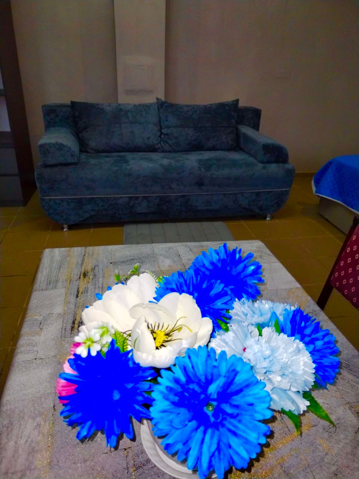 Номер-студия Делюкс с кроватью размера «queen-size»