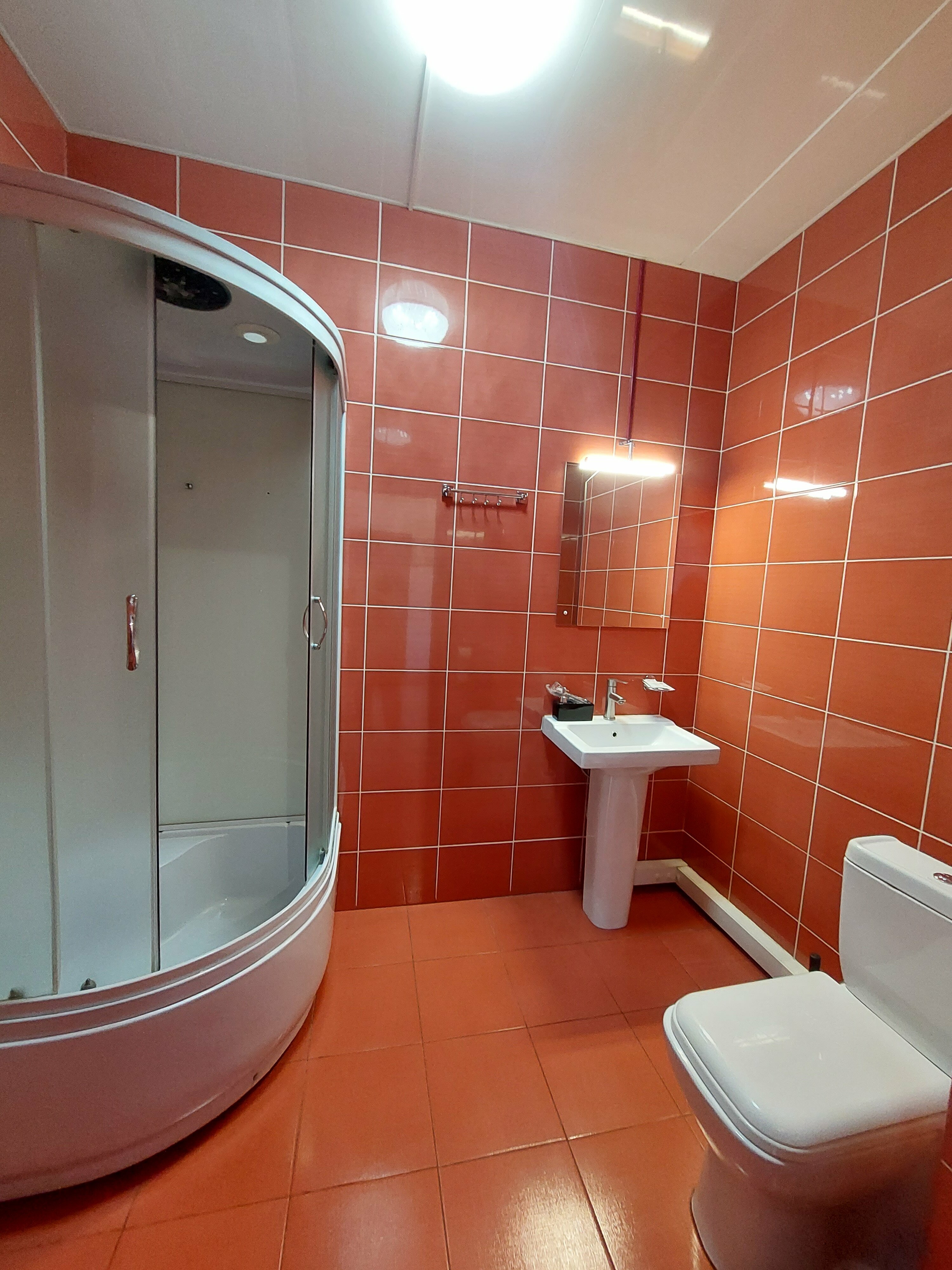 Двухместный номер Делюкс с 1 кроватью