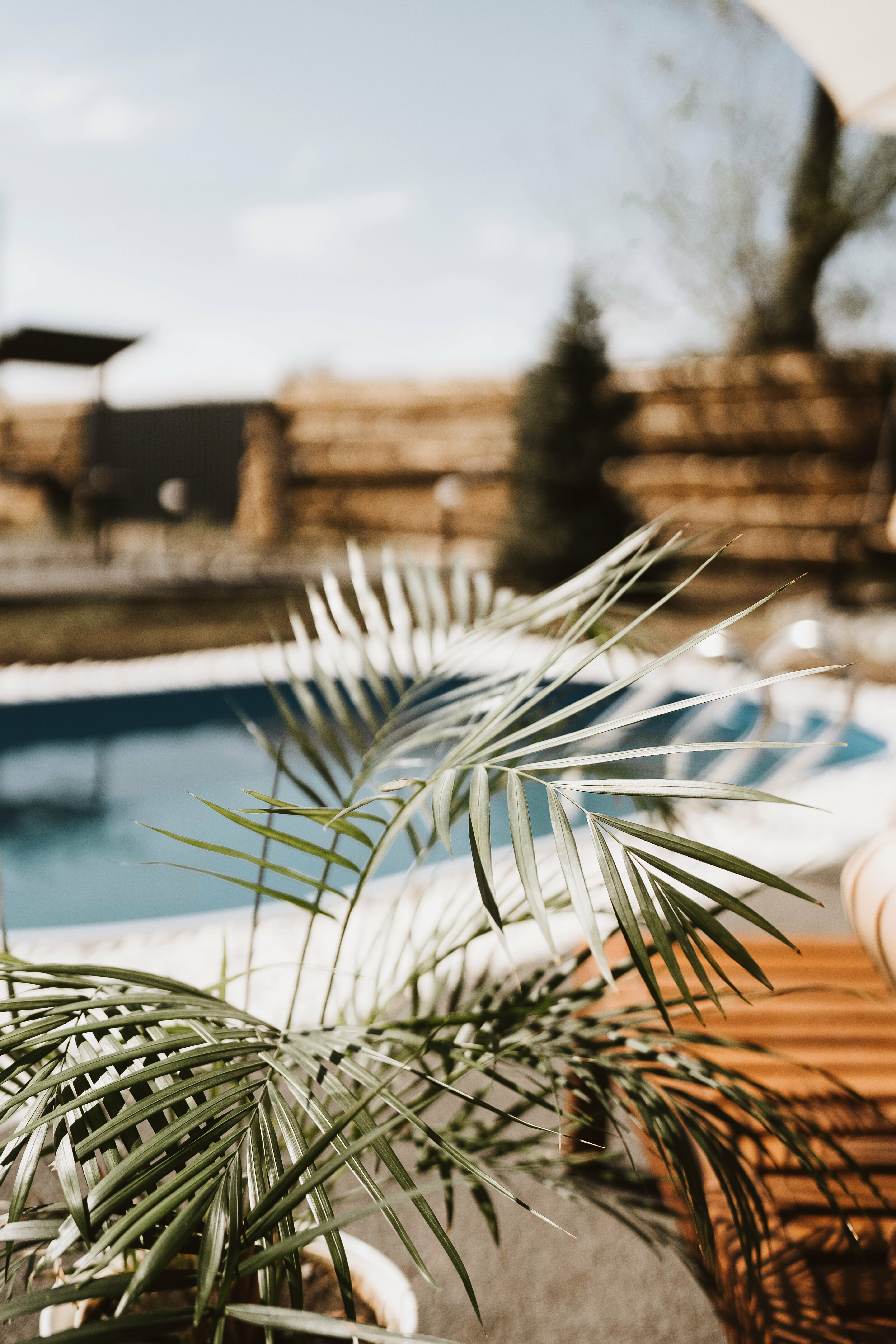 Коттедж с собственным бассейном