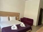 Двухместный номер с 1 кроватью или 2 отдельными кроватями в Golden Plaza