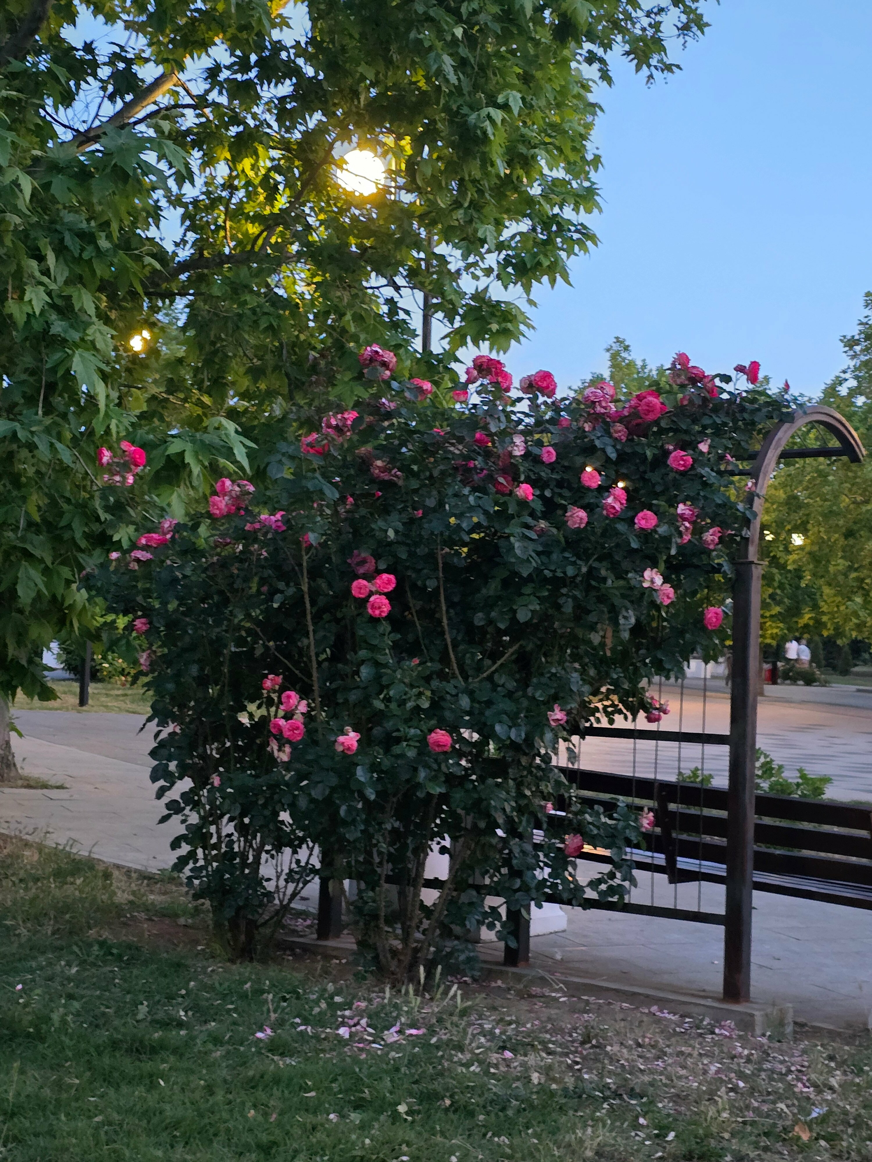 Апартаменты-студия