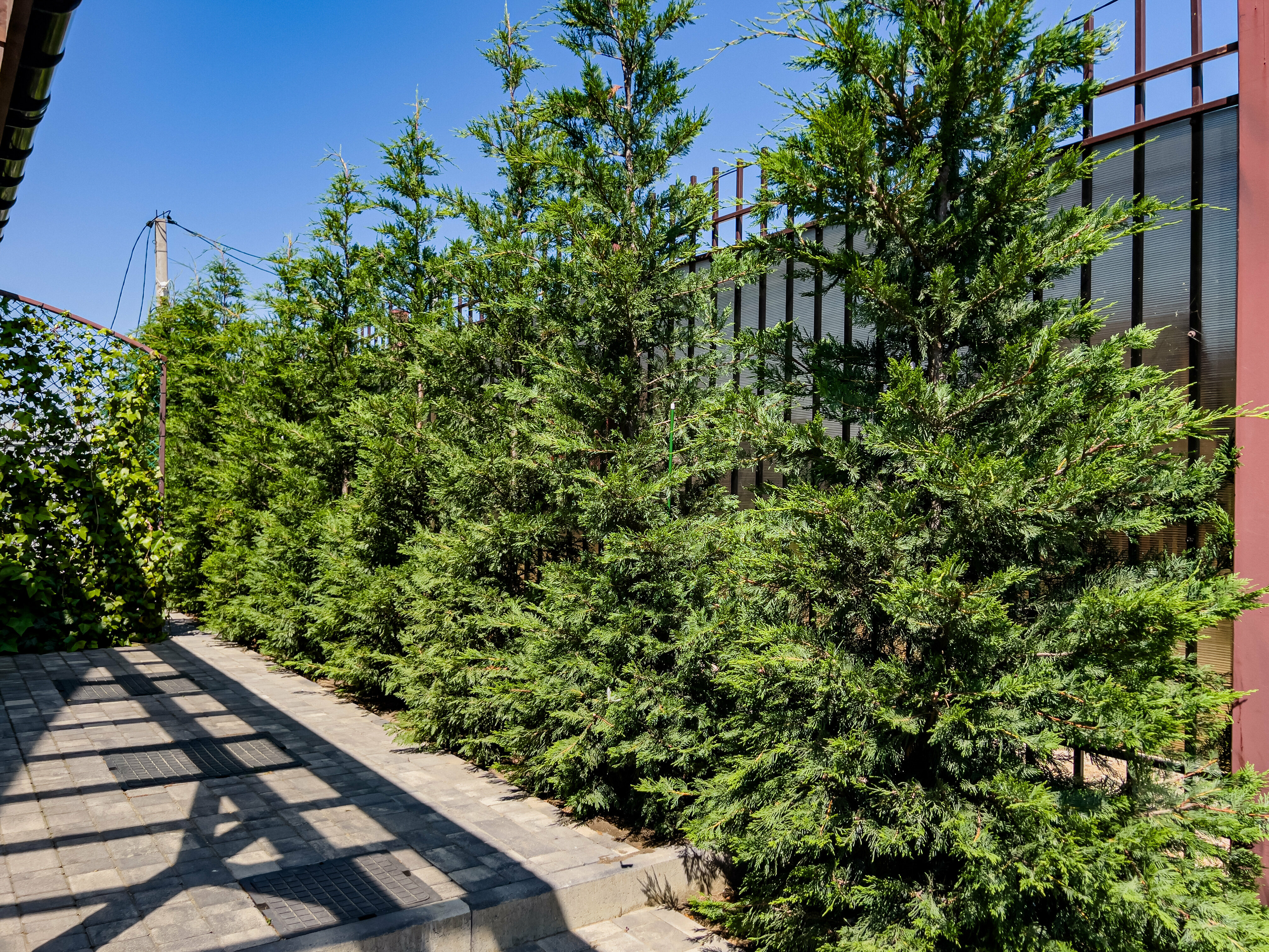 Семейный номер-студия