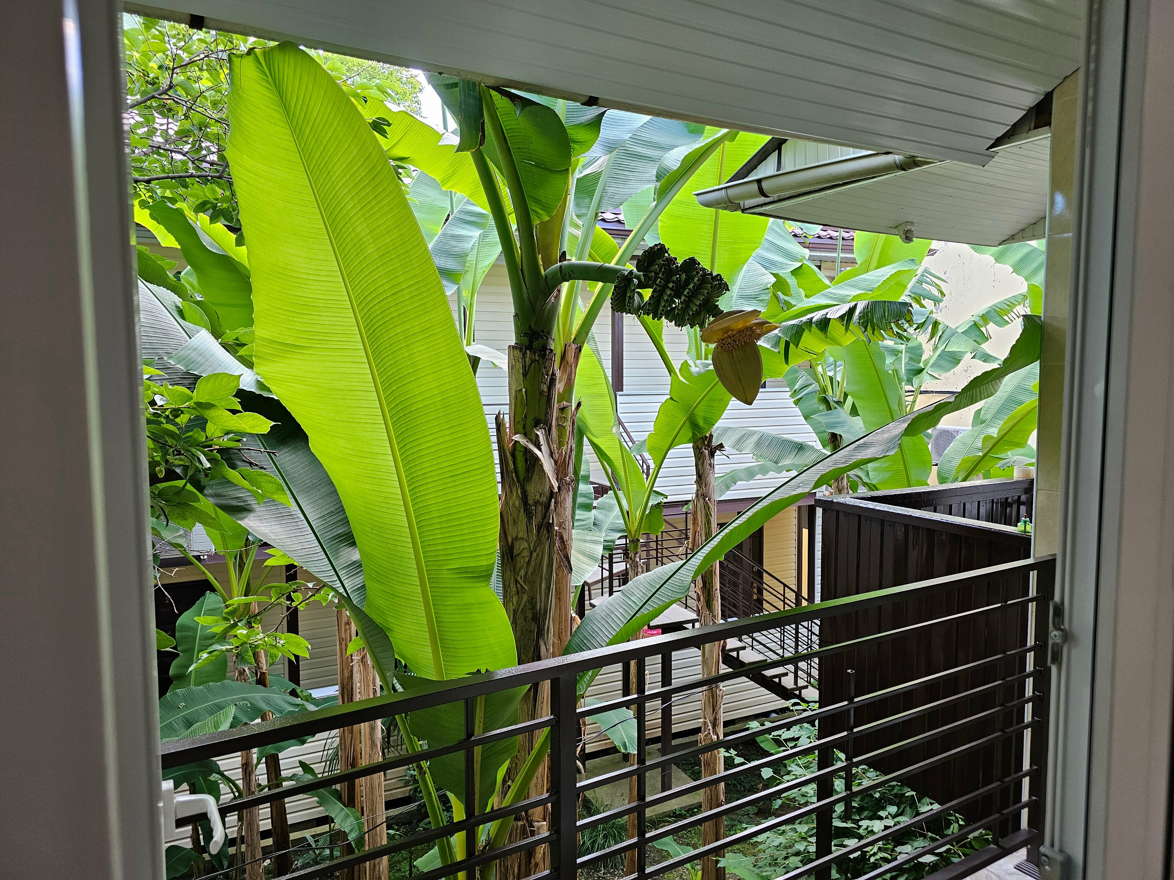 Трехместный номер с балконом