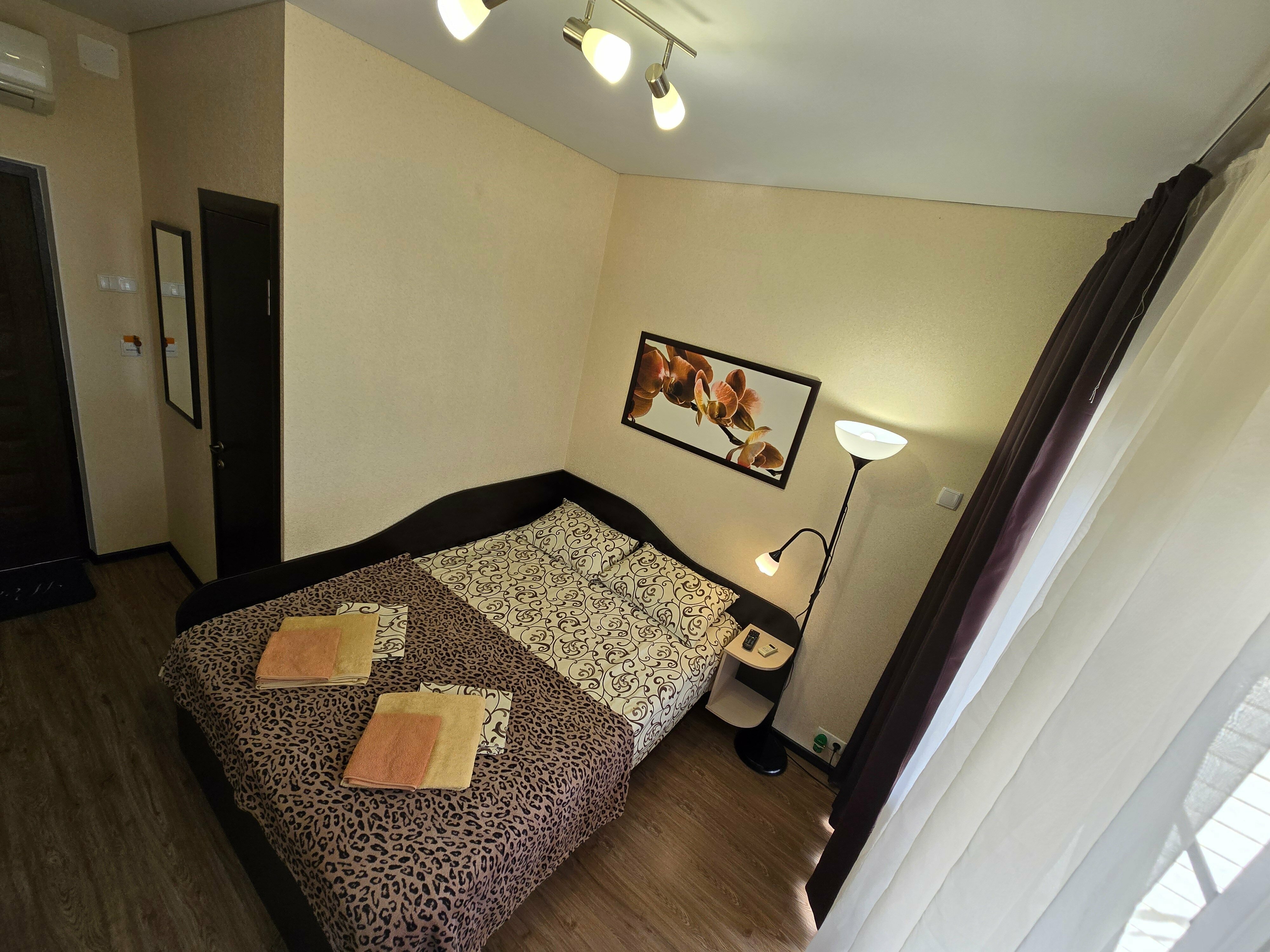 Двухместный номер с 1 кроватью и балконом