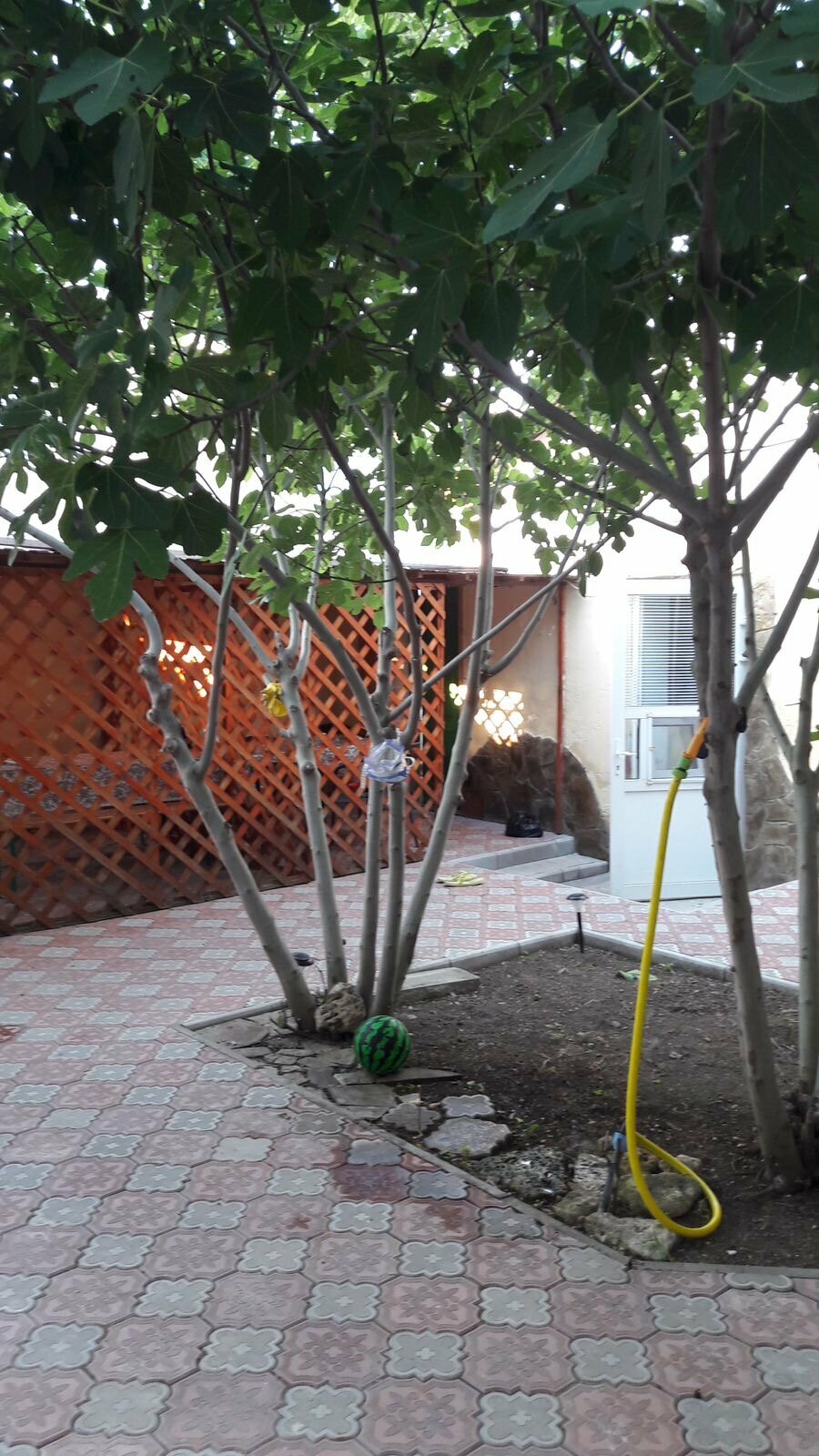 Двухместный номер Делюкс с 1 кроватью или 2 отдельными кроватями