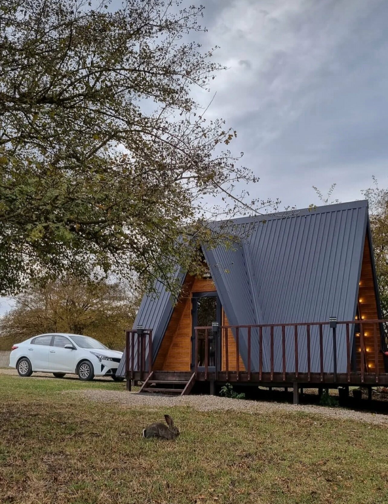 Двухместный номер с 1 кроватью