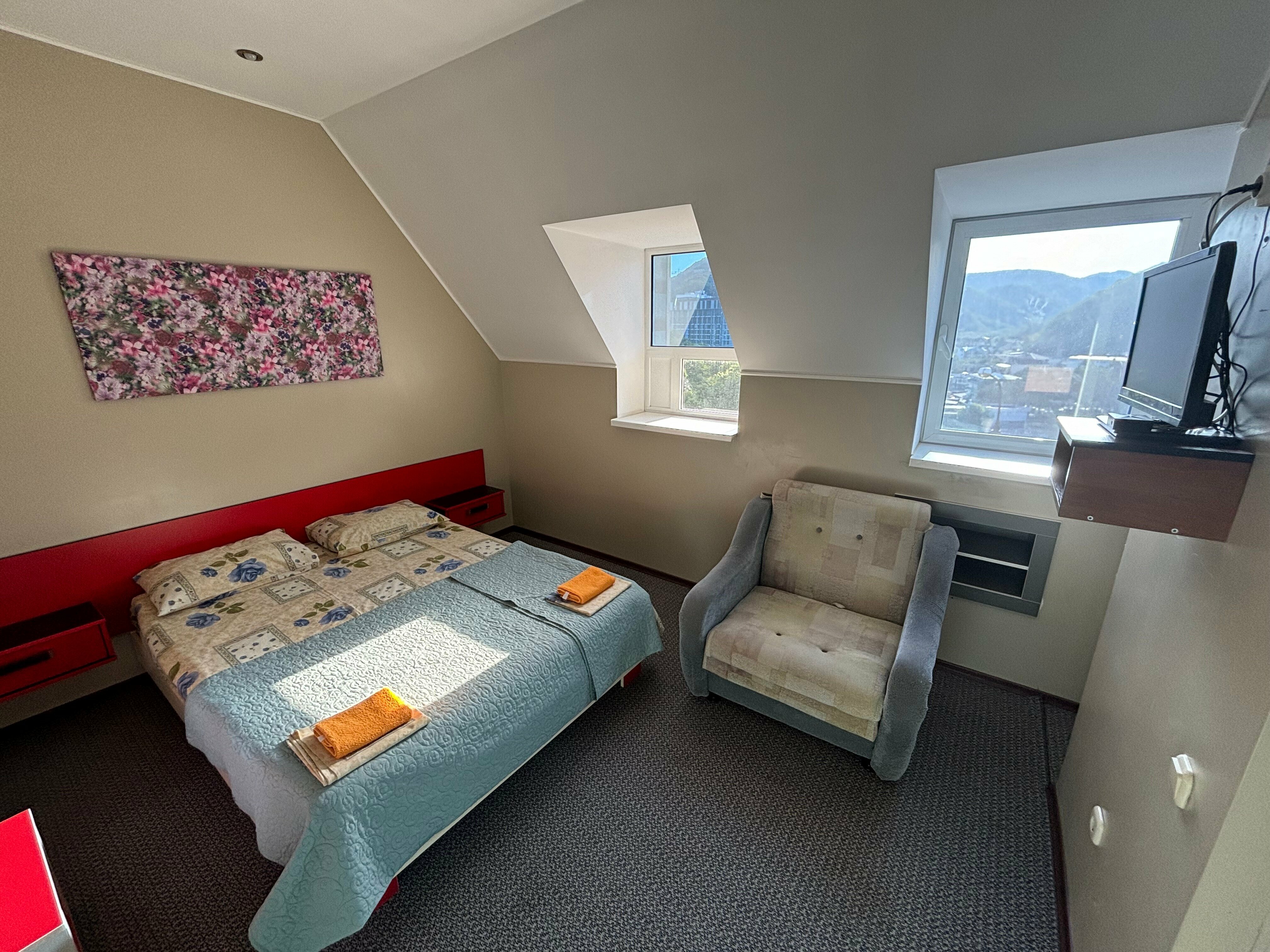 Семейный двухместный номер с 1 кроватью