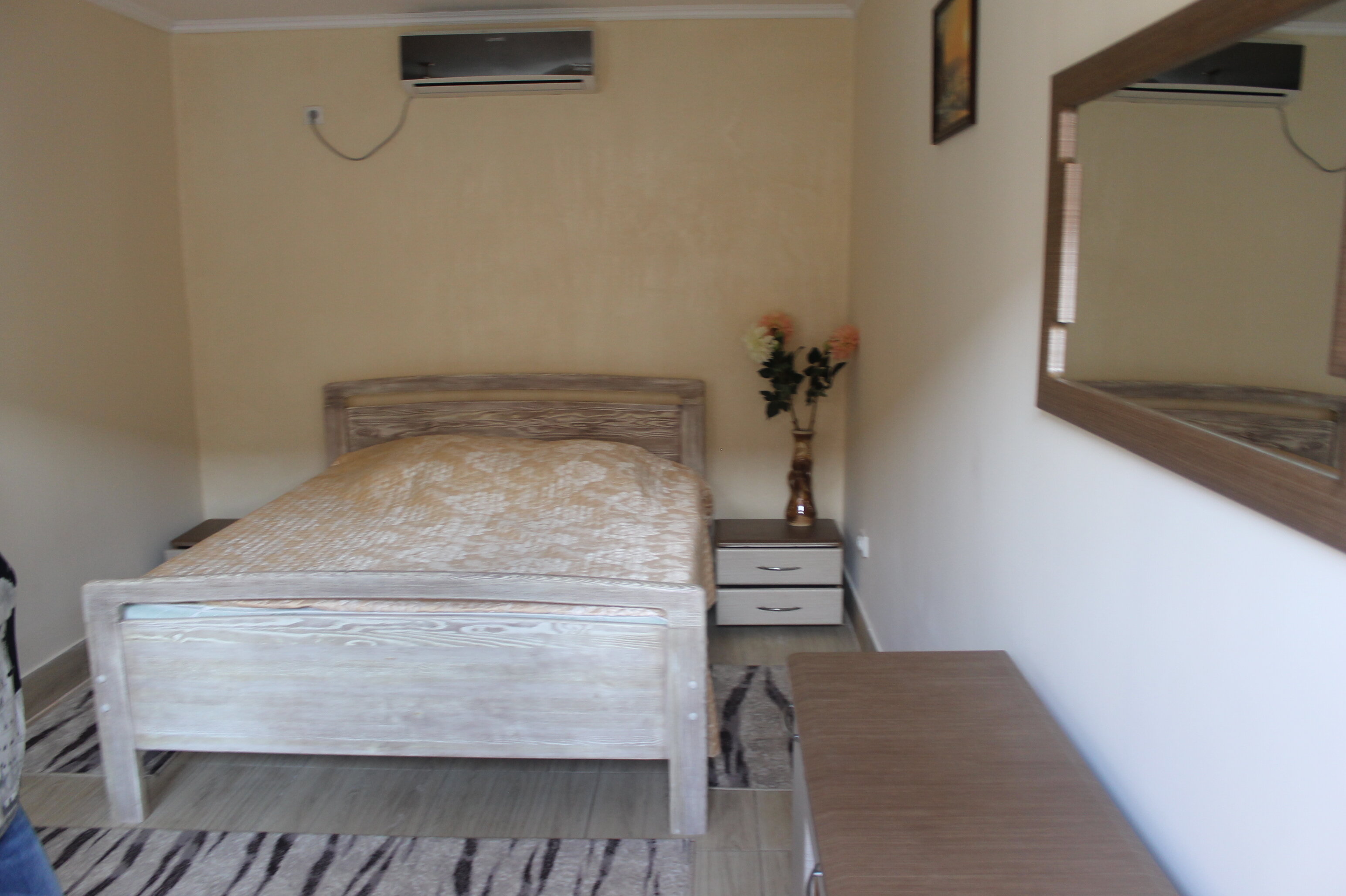 Двухместный номер с 1 кроватью и собственной ванной комнатой