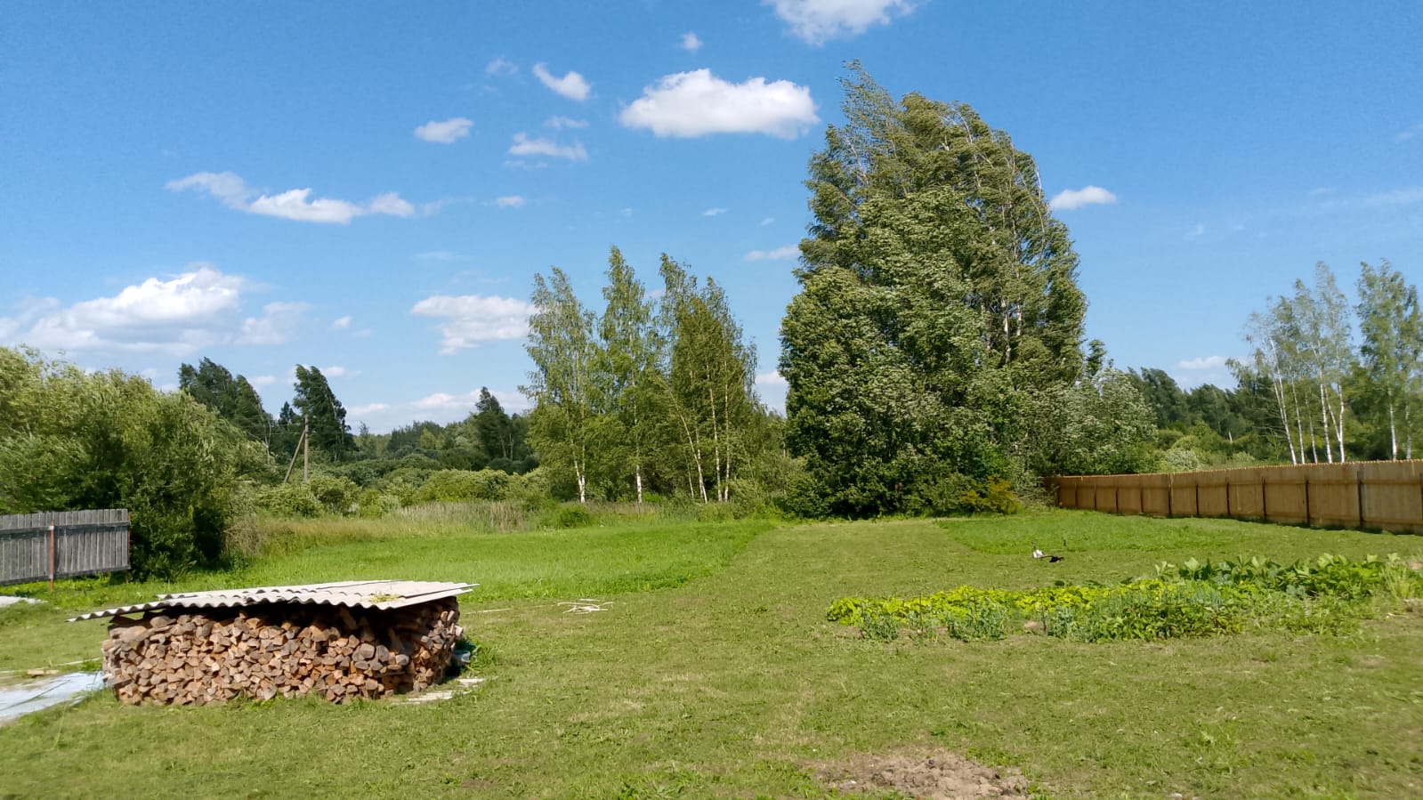 Бюджетный трехместный номер