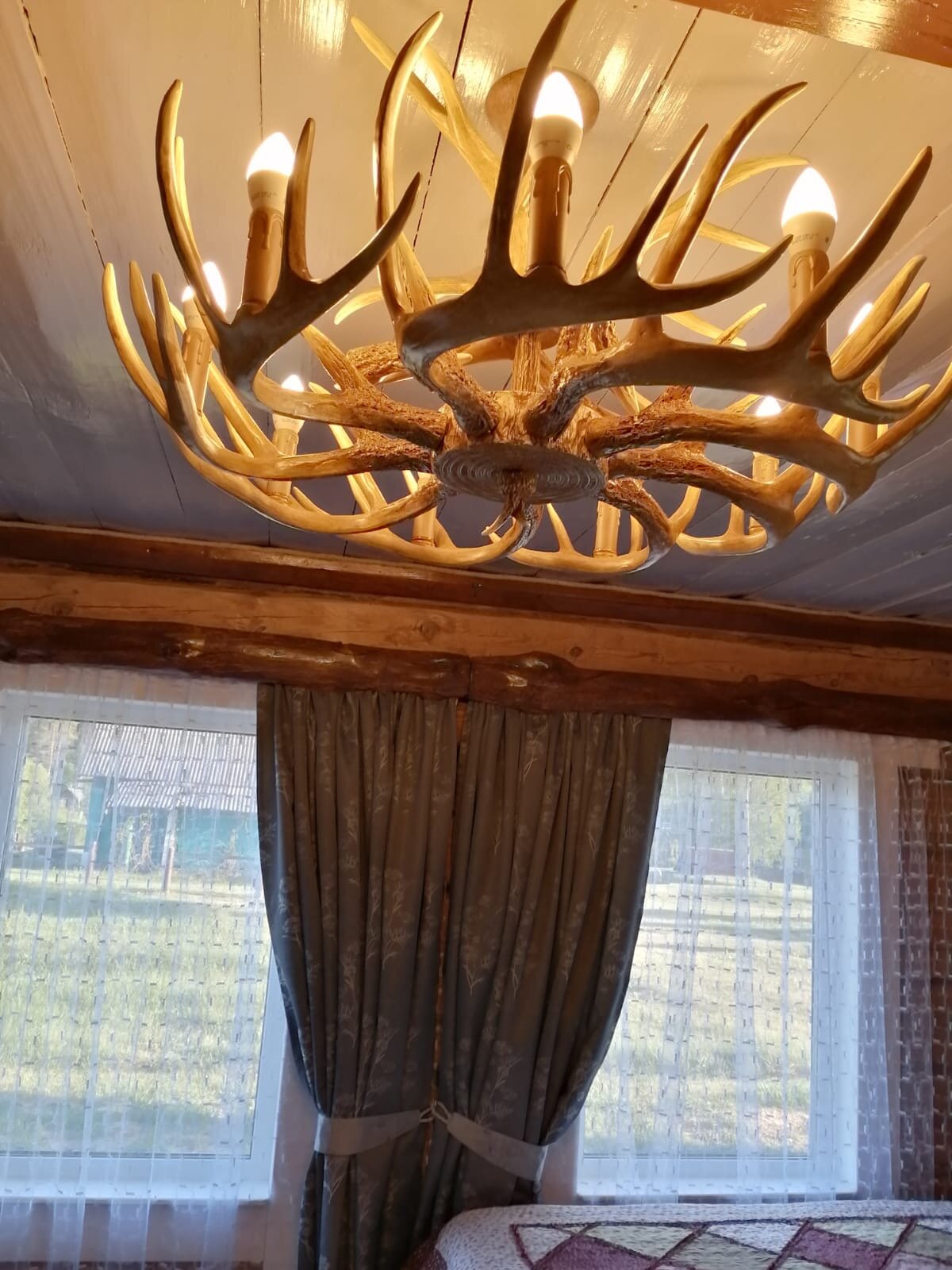 Дом с видом на лес