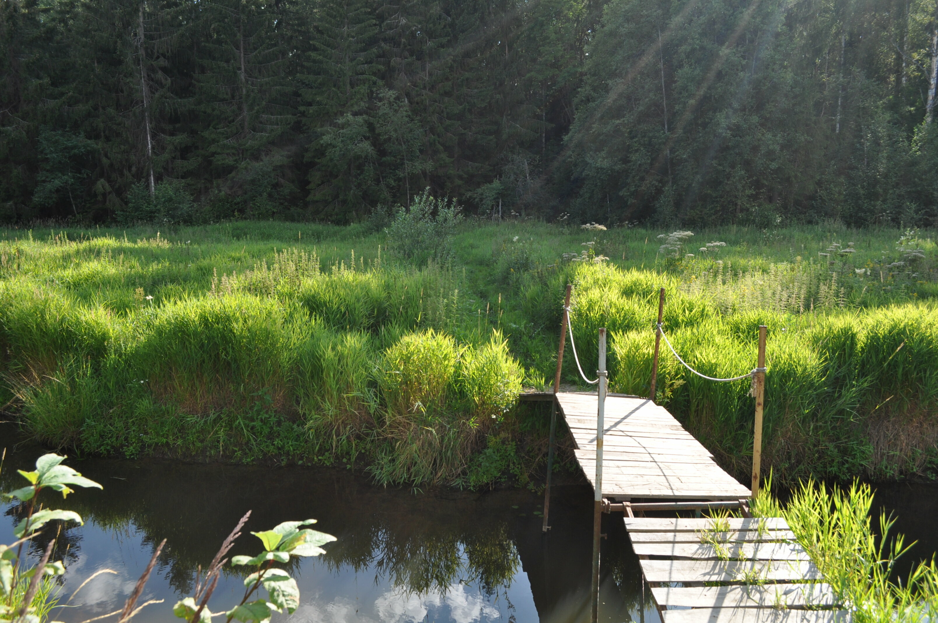 Стандартный четырехместный номер