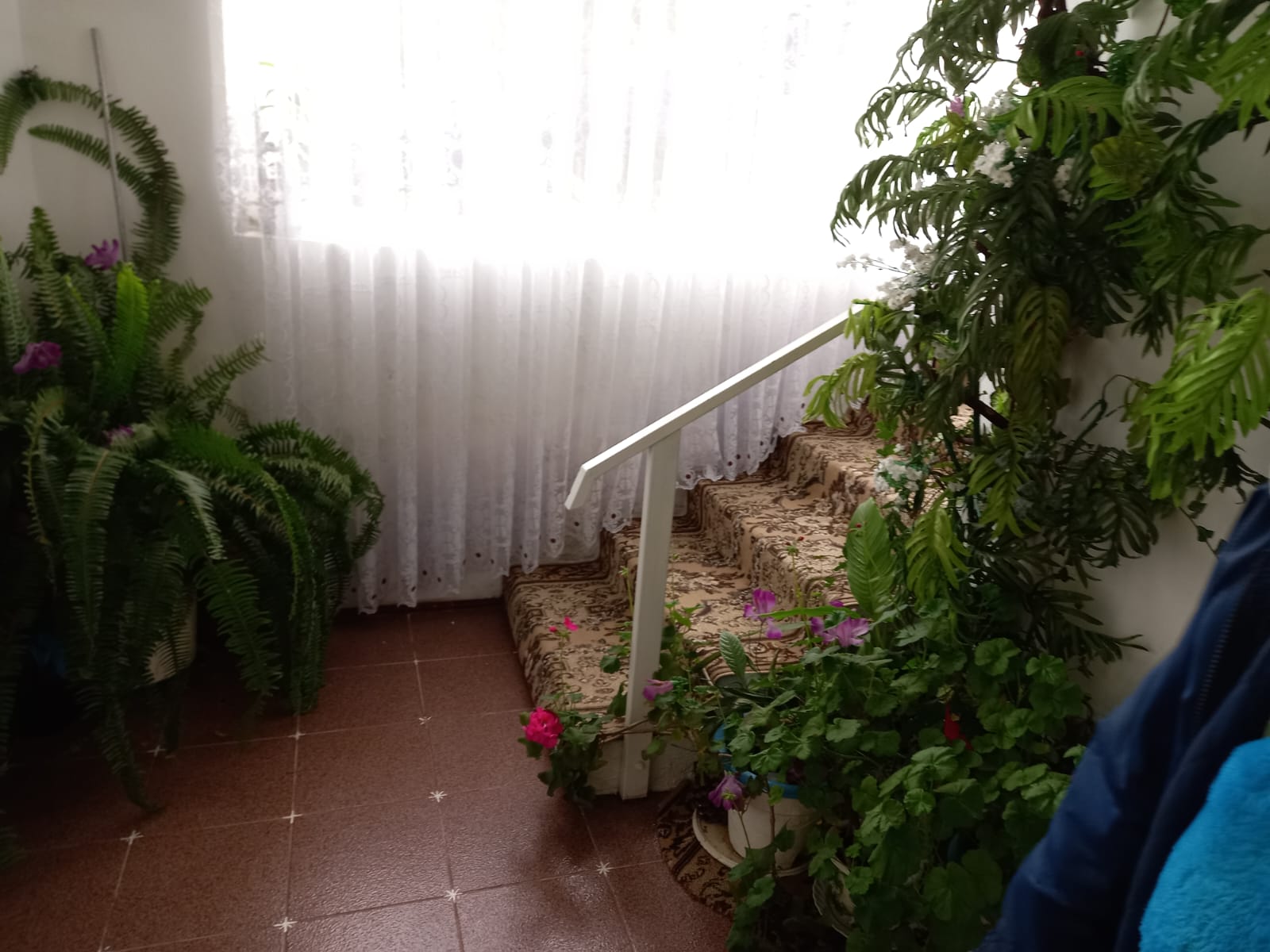 Трехместный номер