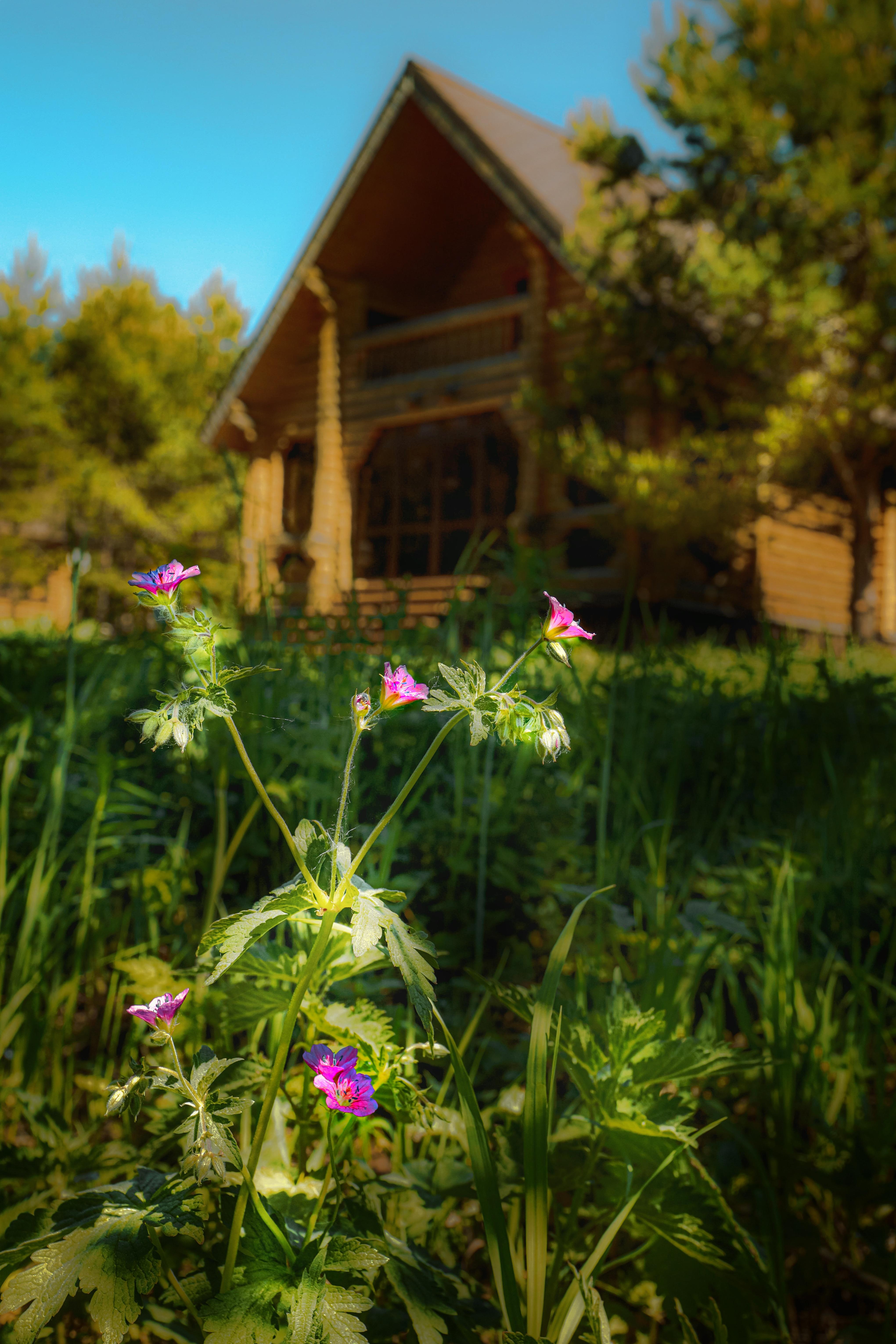 Двухуровневый четырехместный номер