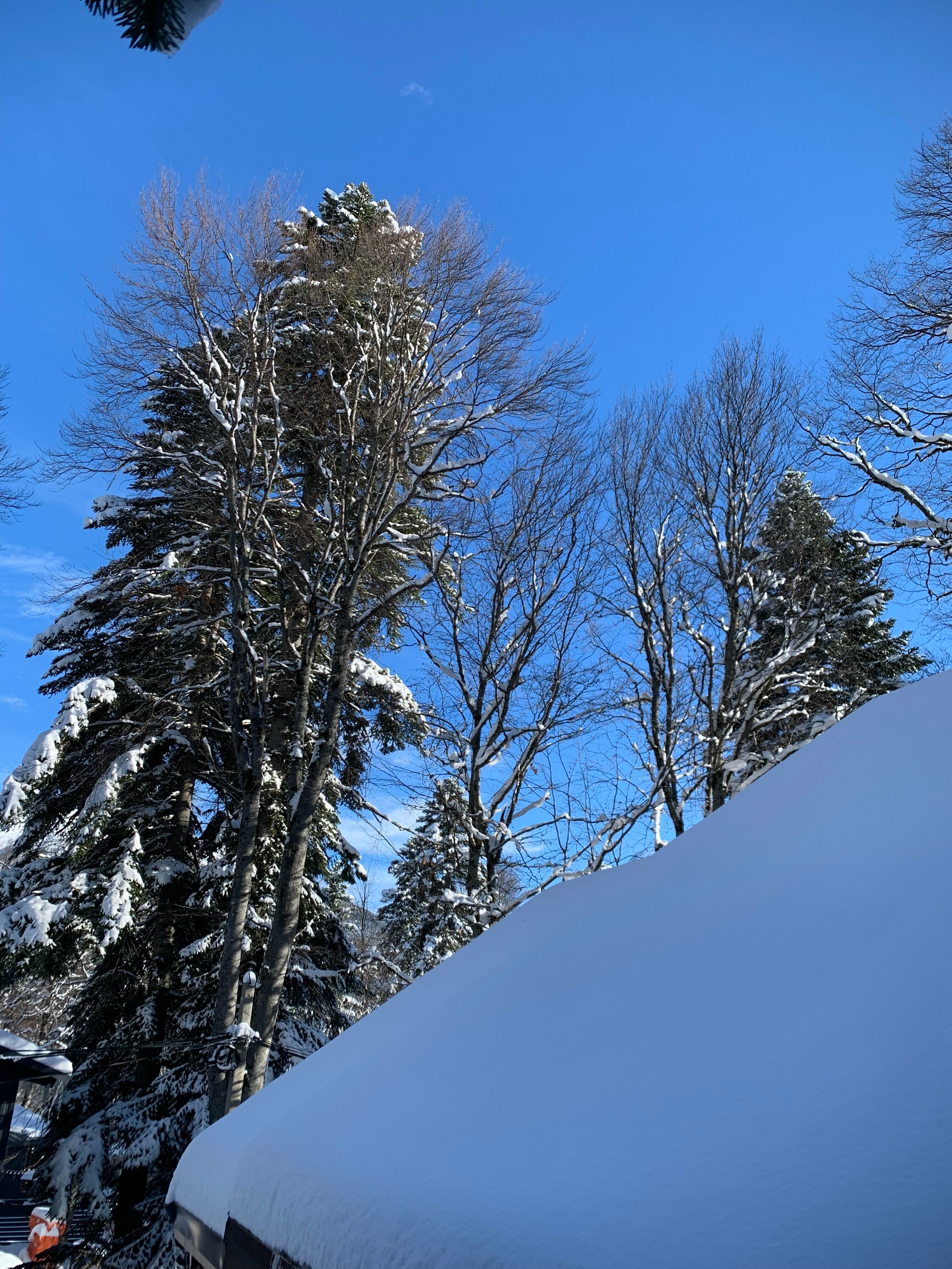 Апартаменты с 2 спальнями