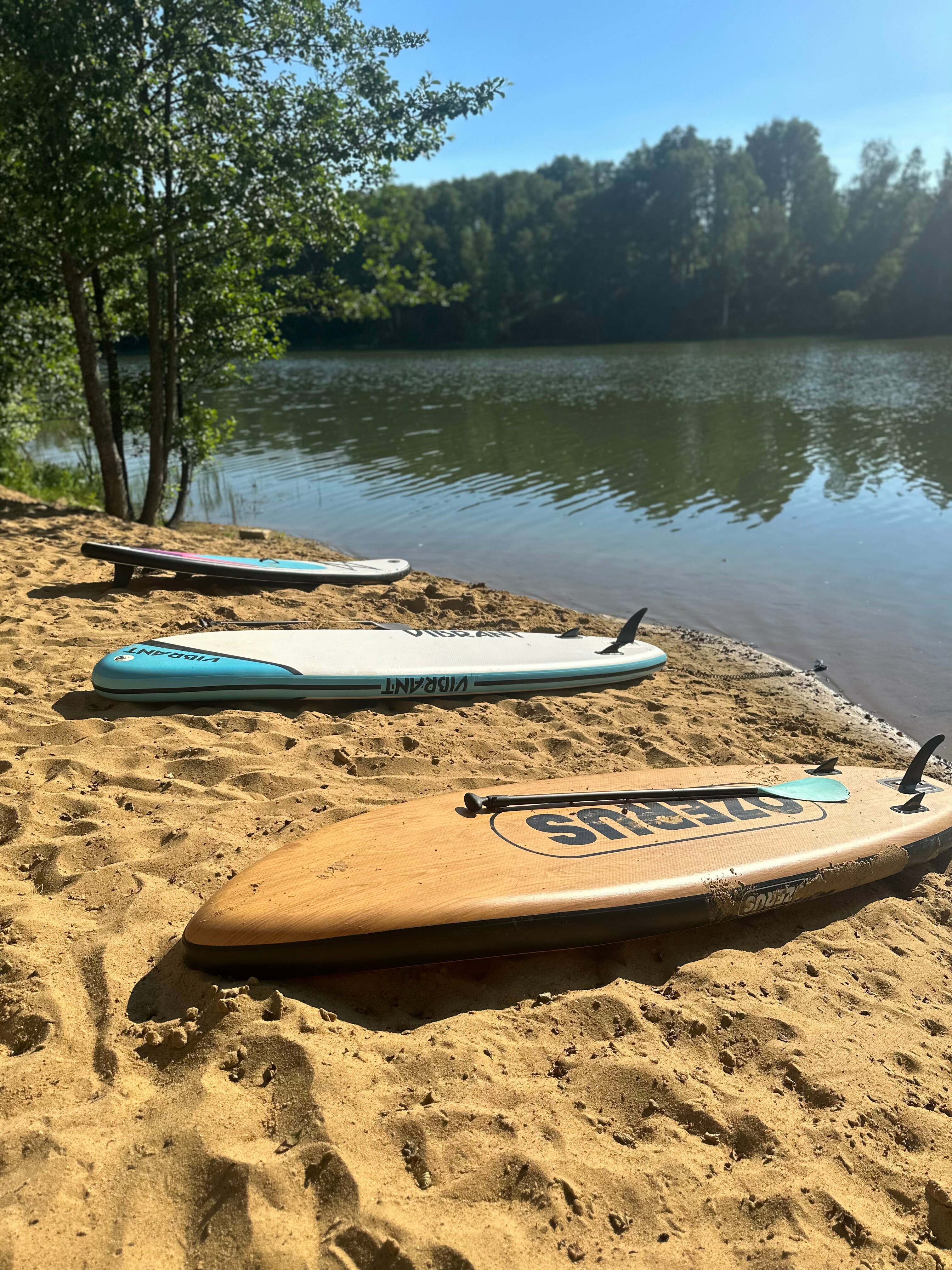 Семейный номер с террасой