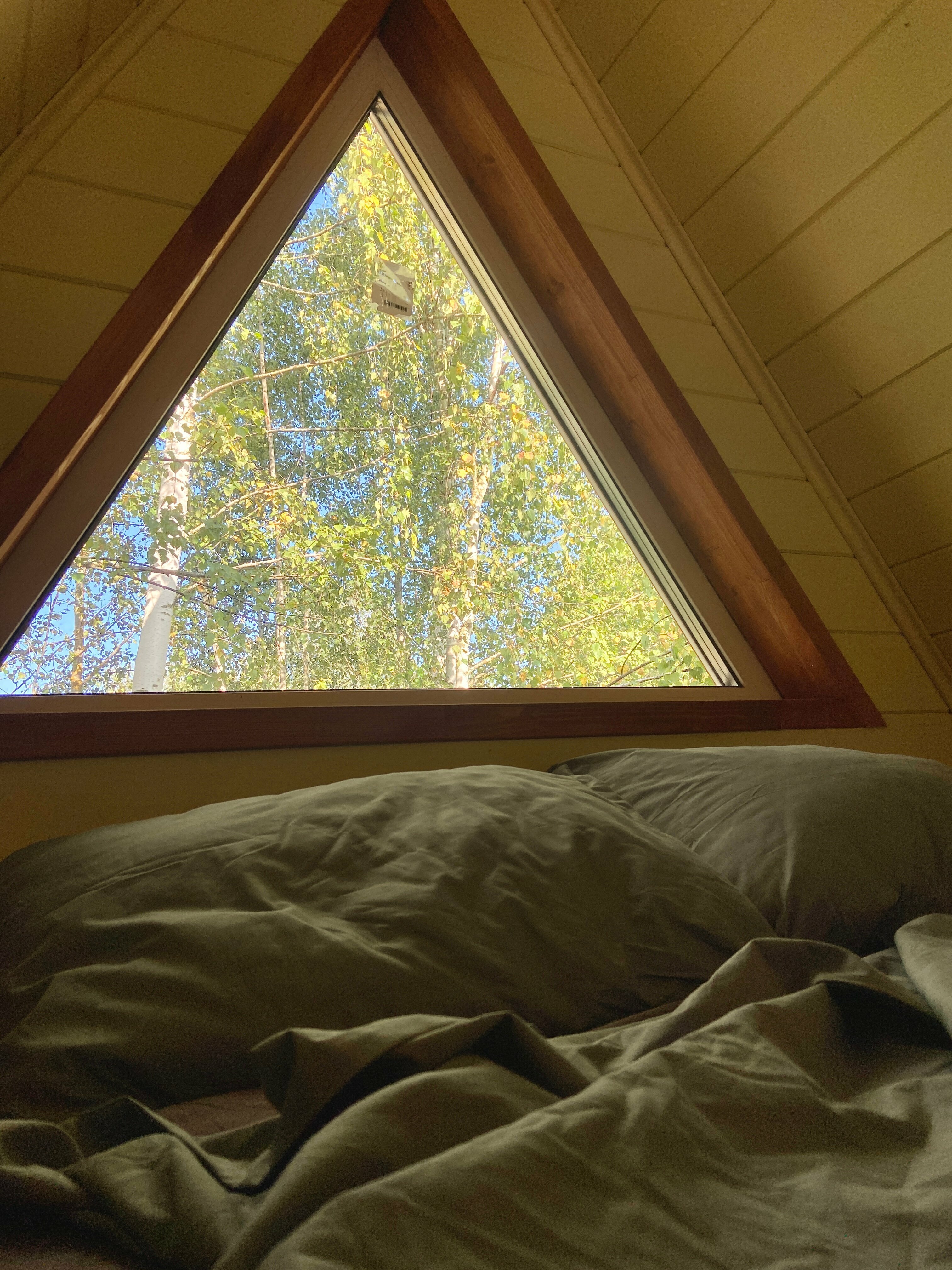 Дом с видом на лес