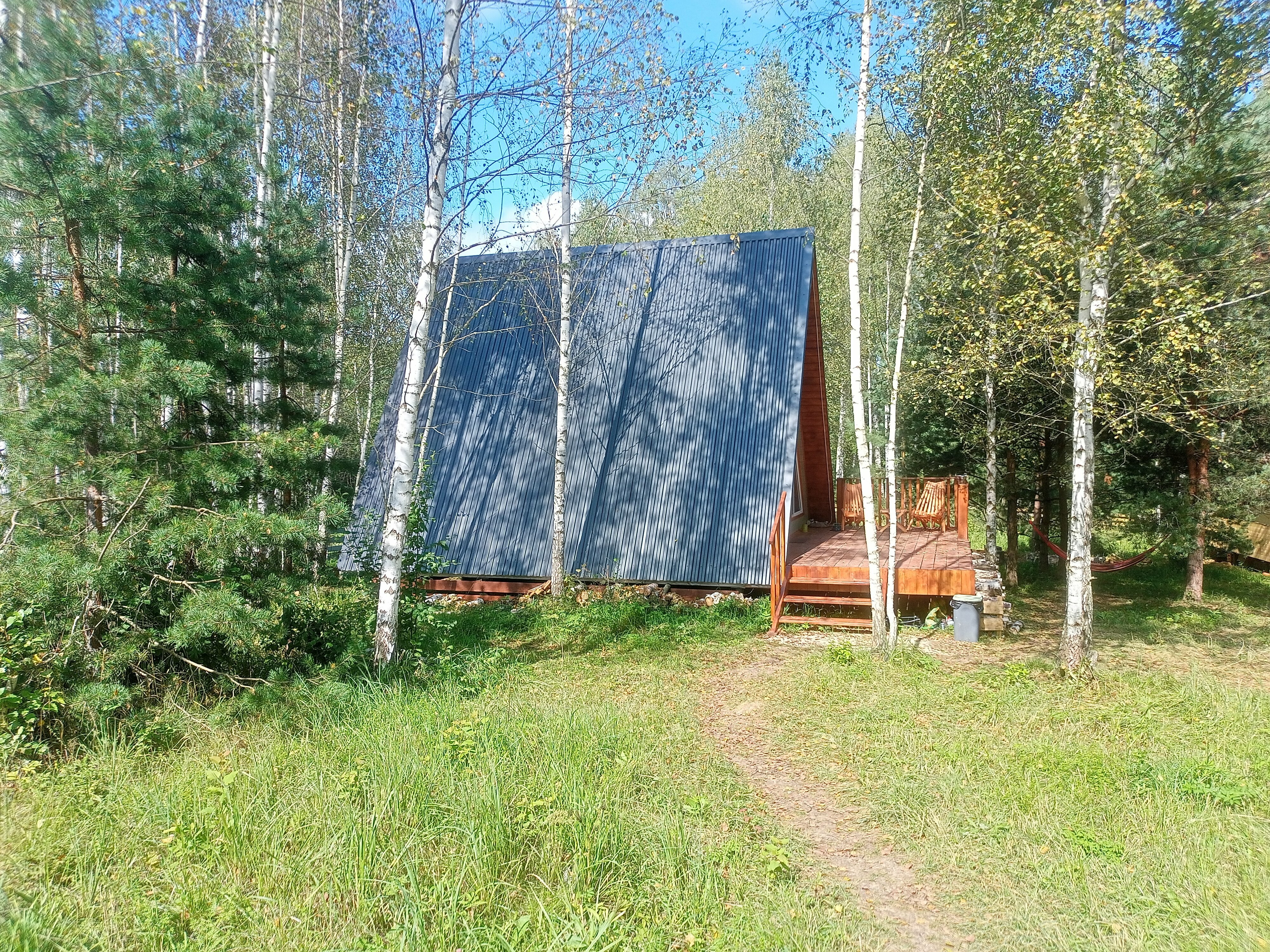 Дом с видом на лес