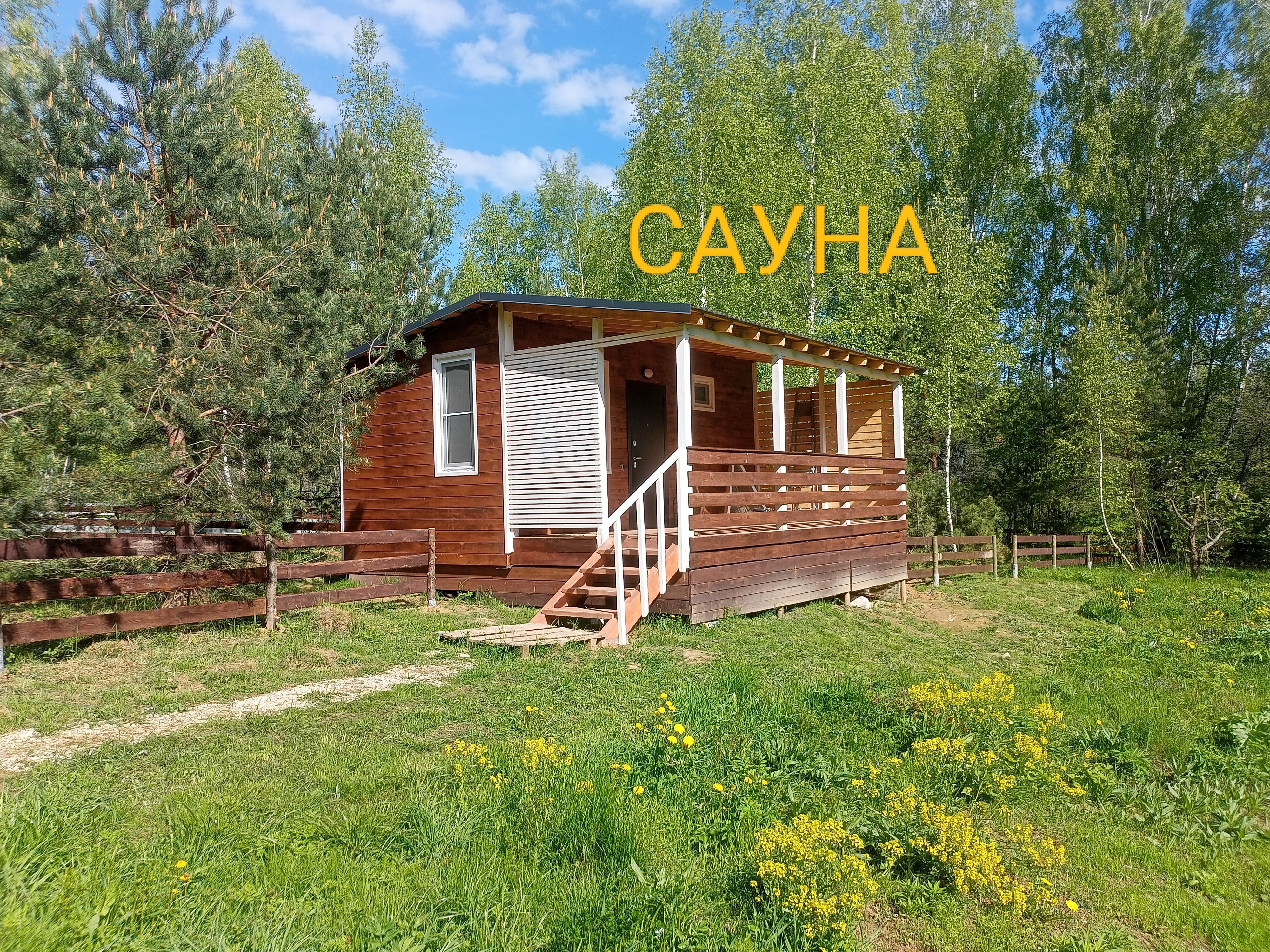 Дом с видом на лес