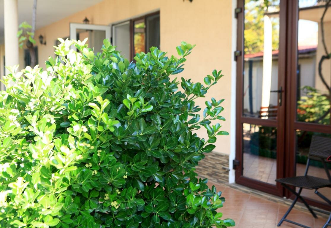 Бюджетный двухместный номер с 1 кроватью