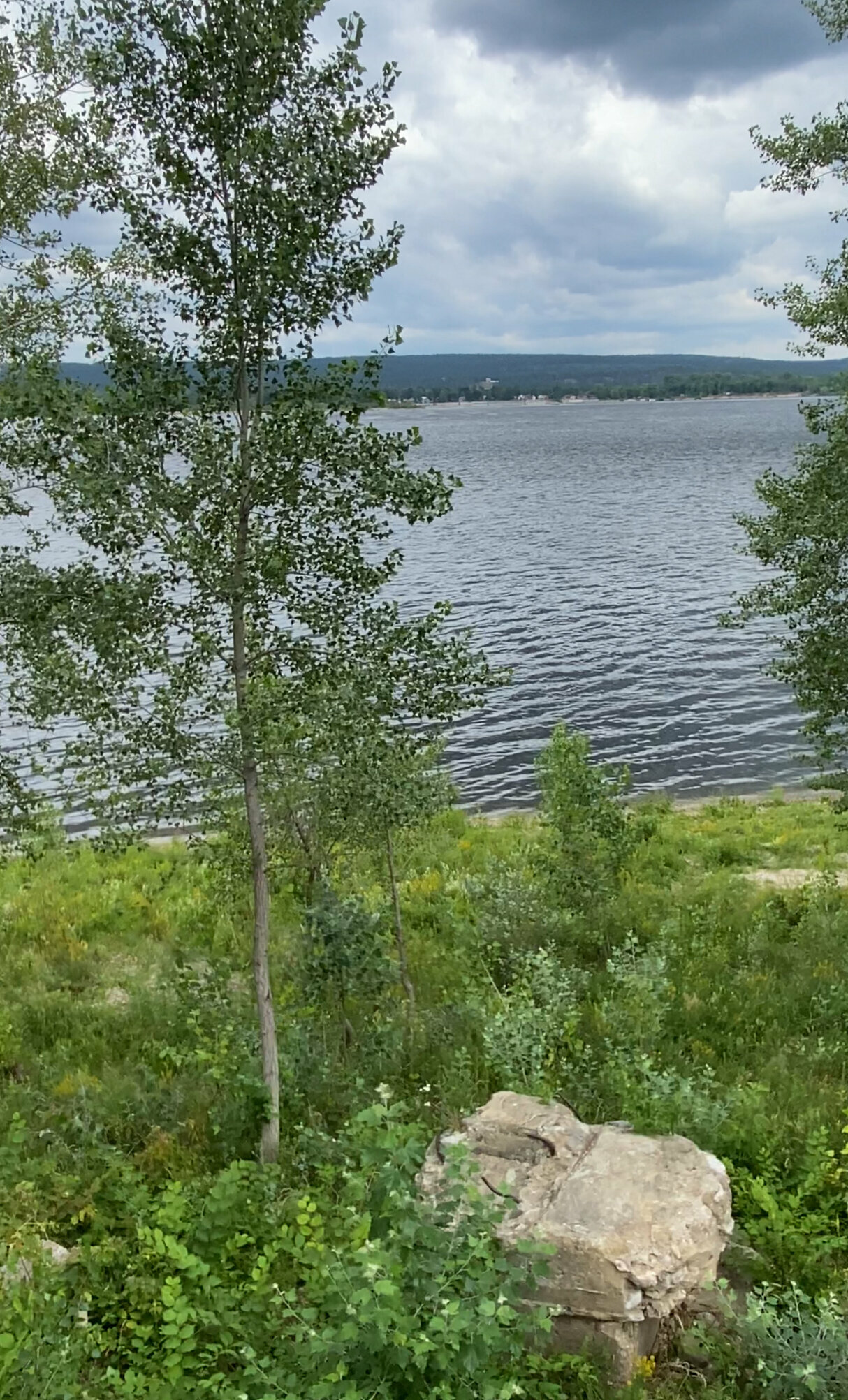 с видом на Вогу