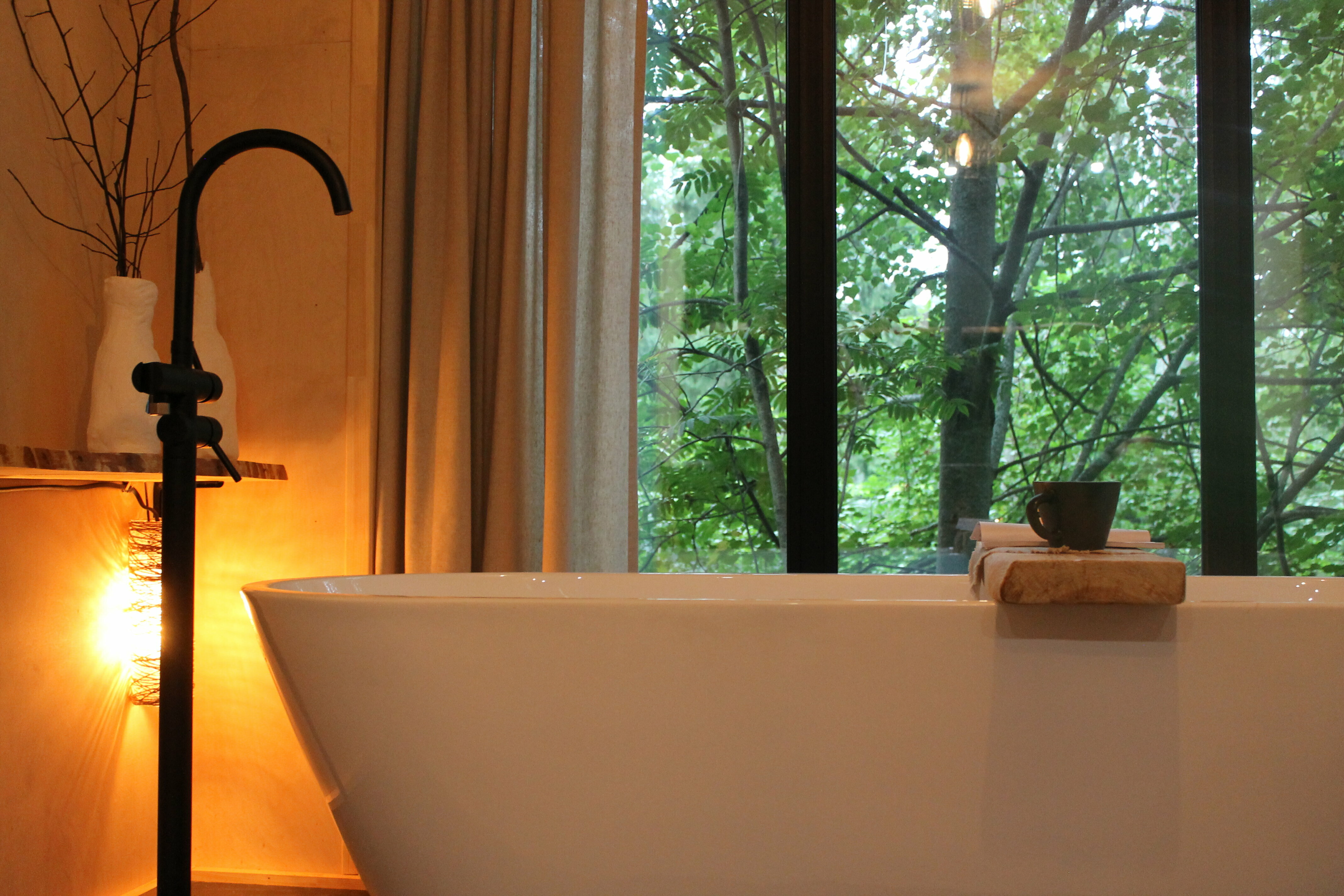 дом в лесу с ванной у панорамных окон