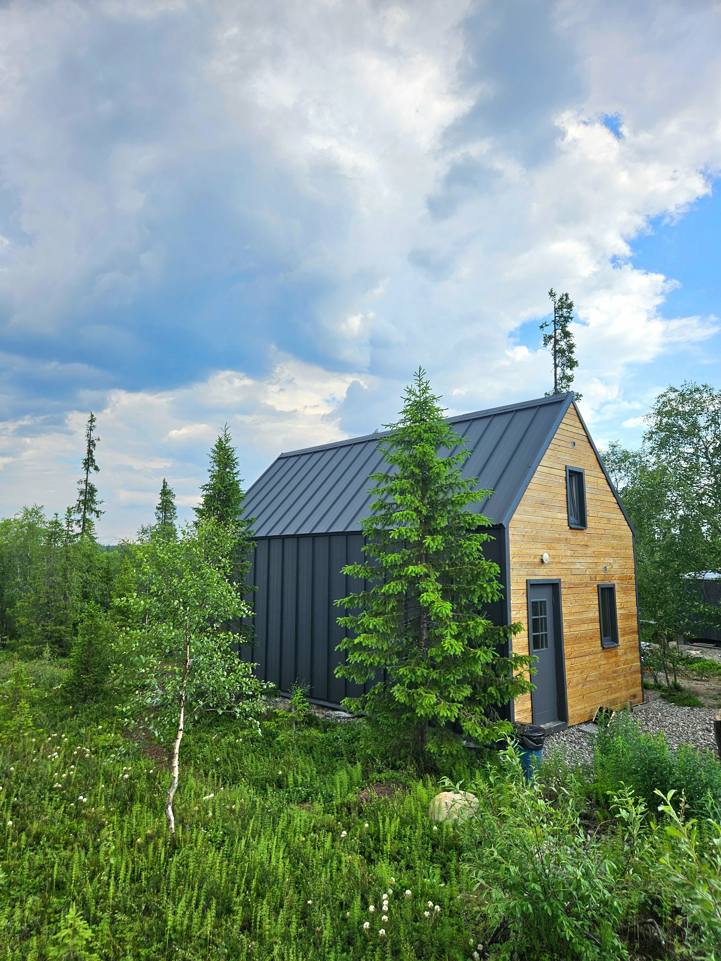 Коттедж с видом на лес