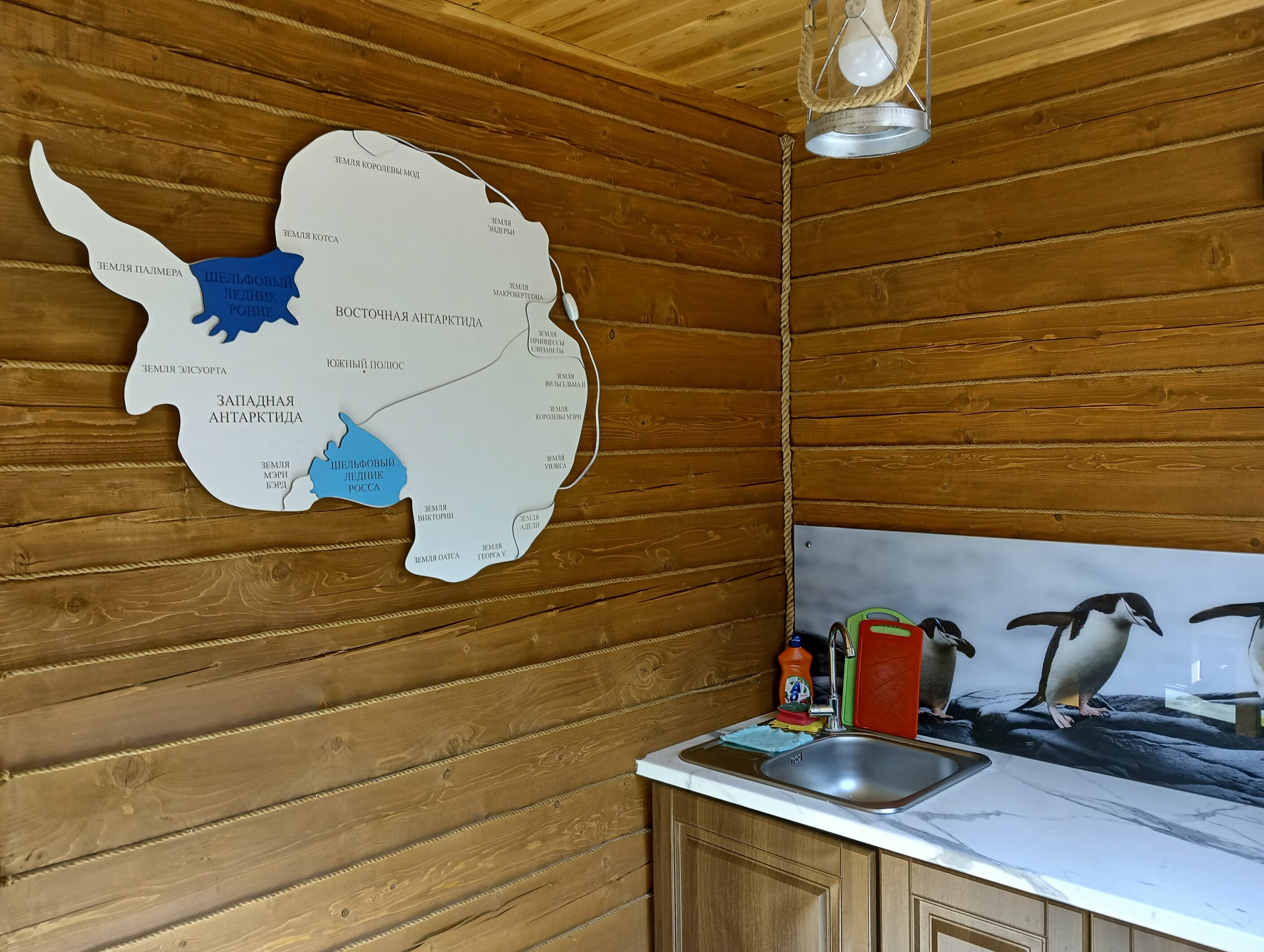 Коттедж с видом на лес