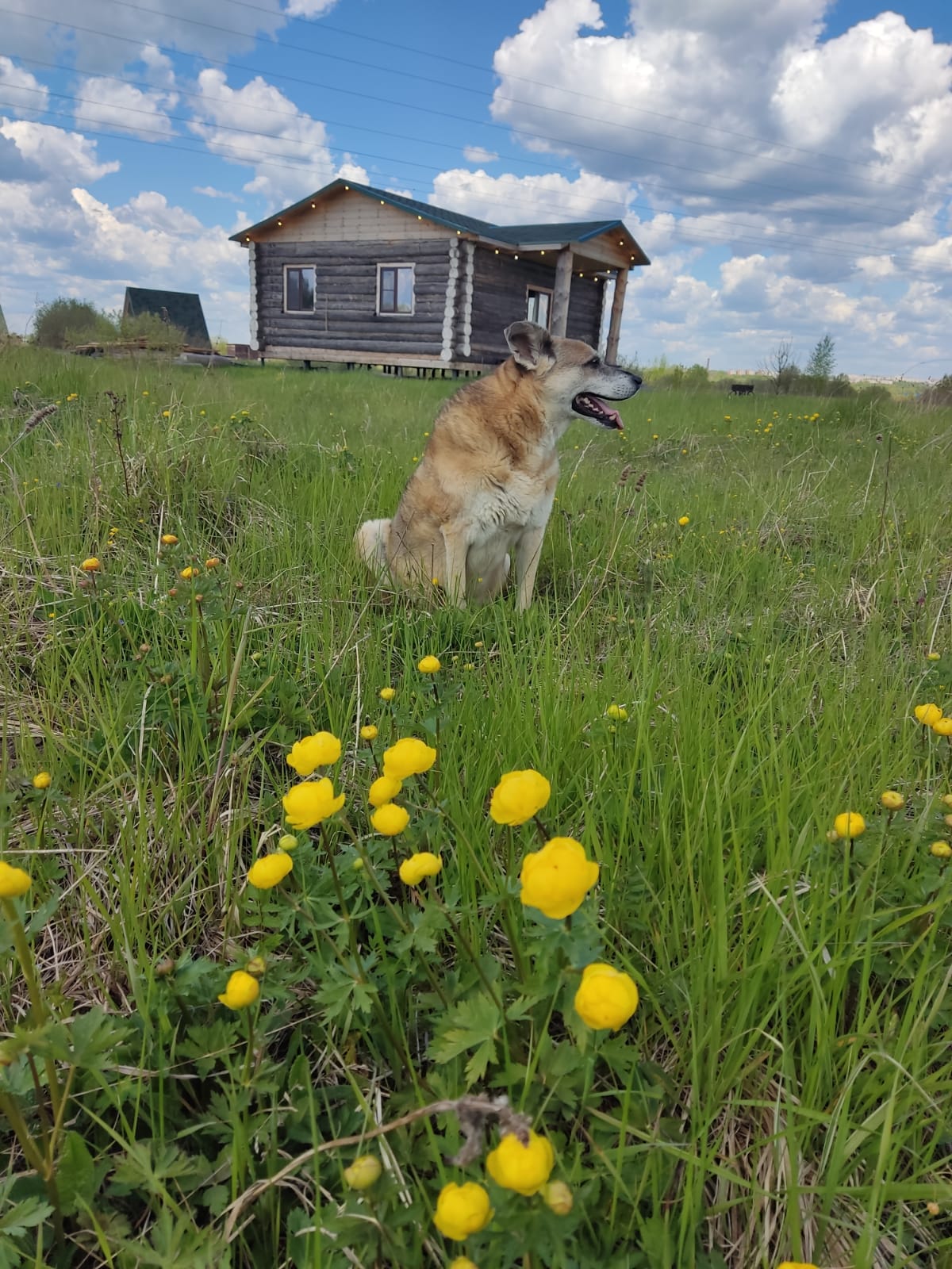 Шале с 2 спальнями