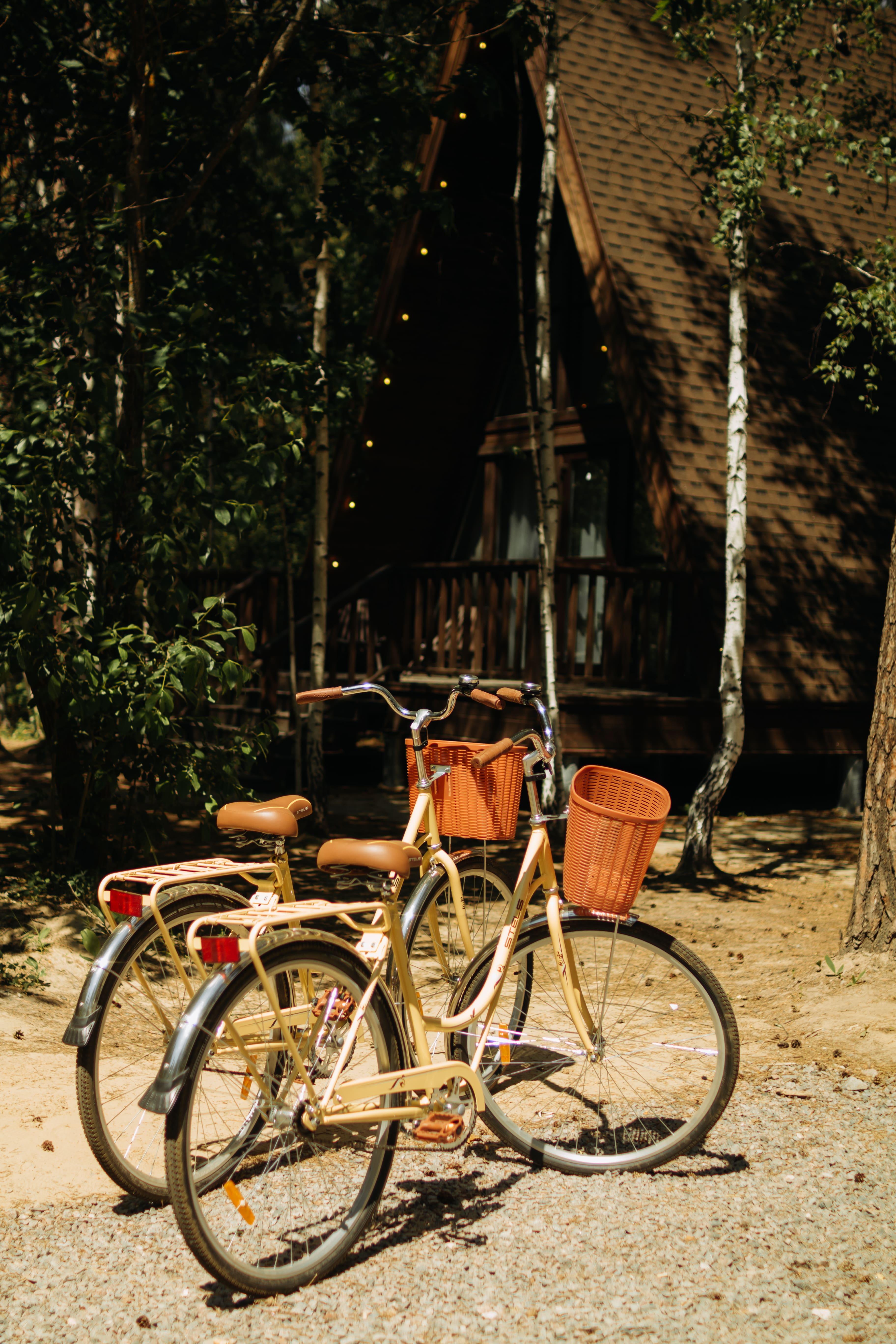 Дом с видом на лес