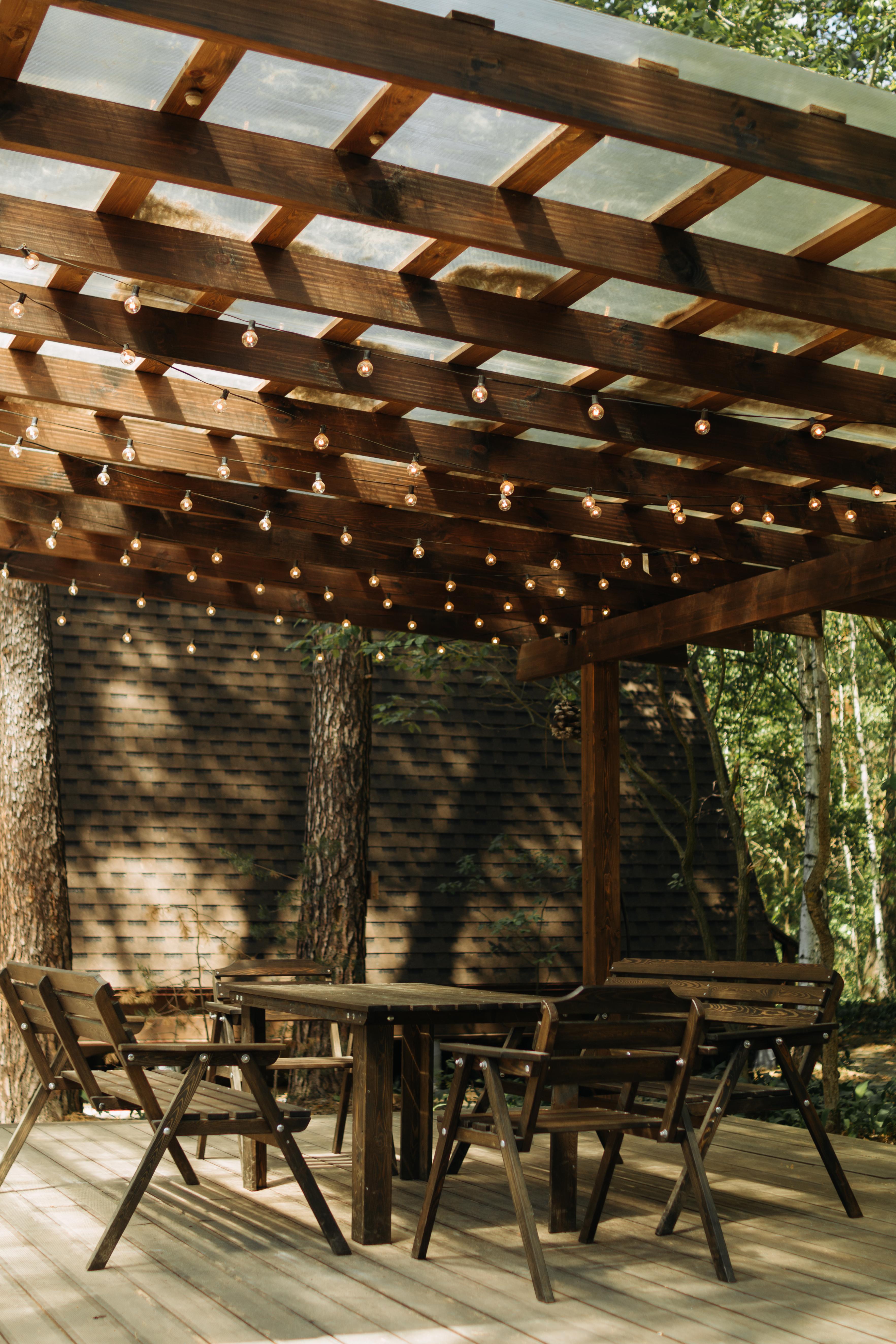 Дом с видом на лес