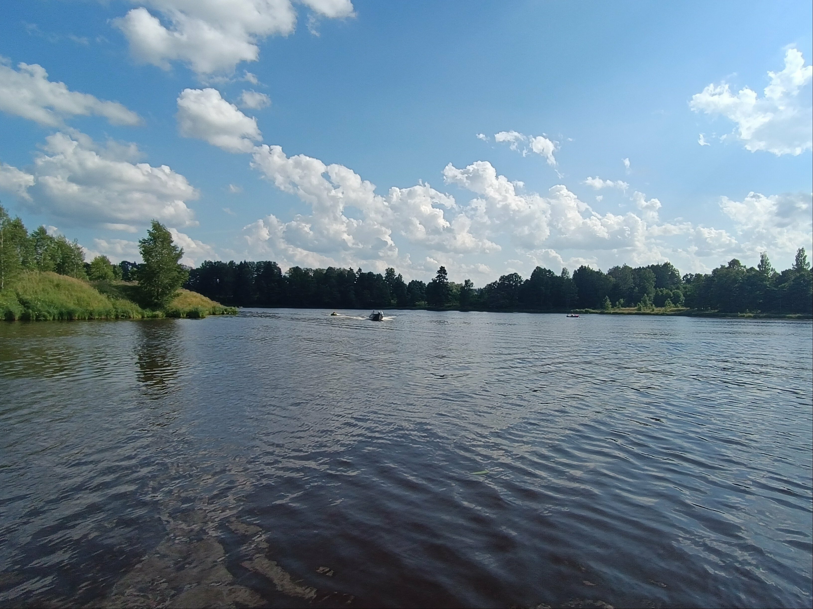 Дом с видом на лес