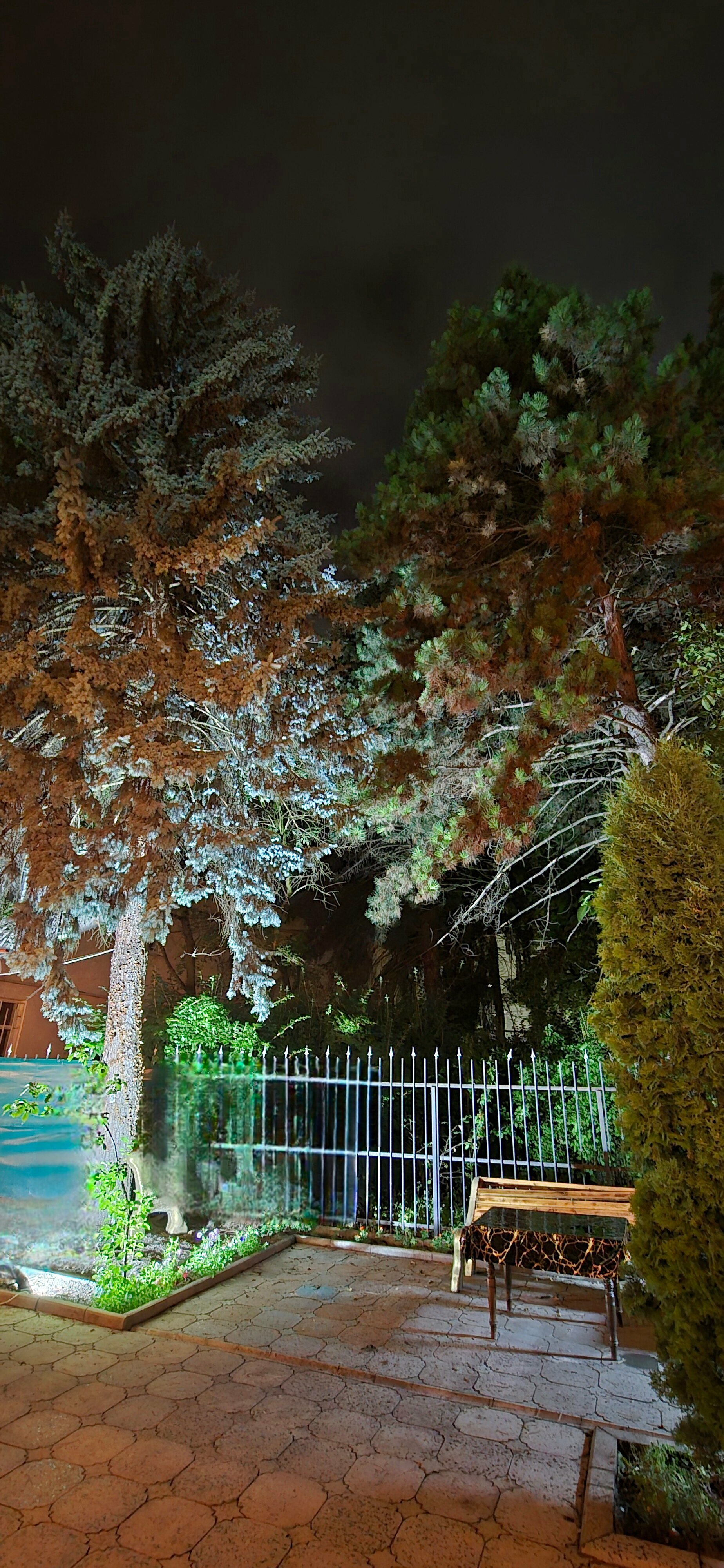 Улучшенный семейный номер