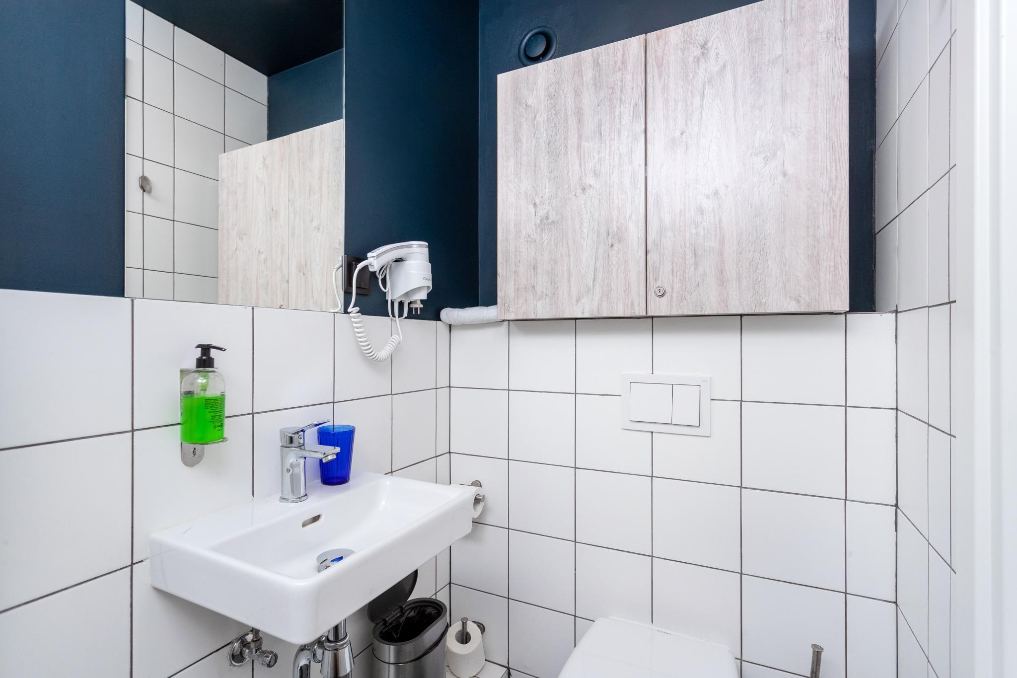 Апартаменты стандарт #1151 с 1 двуспальной кроватью