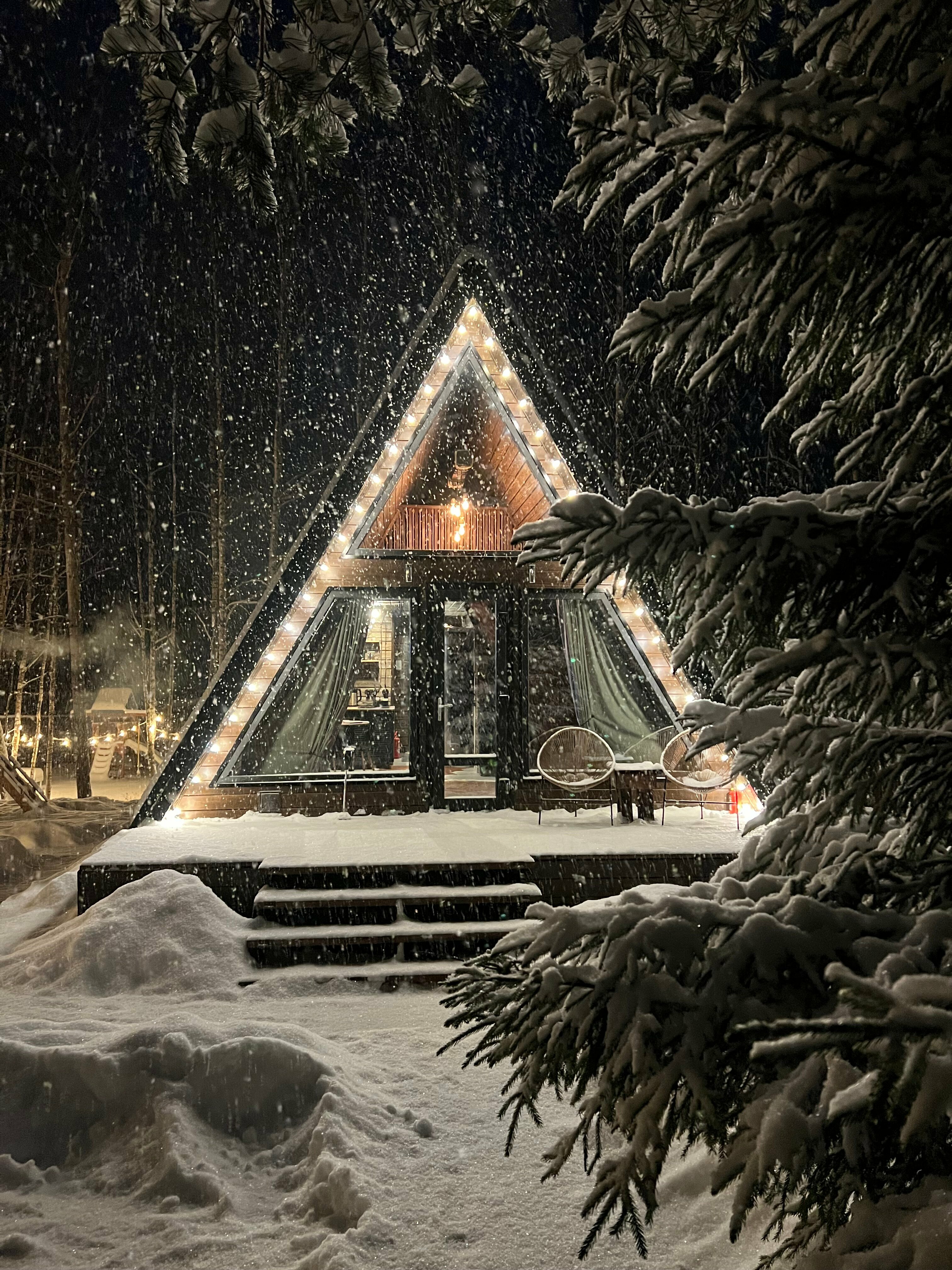 Дом с видом на лес