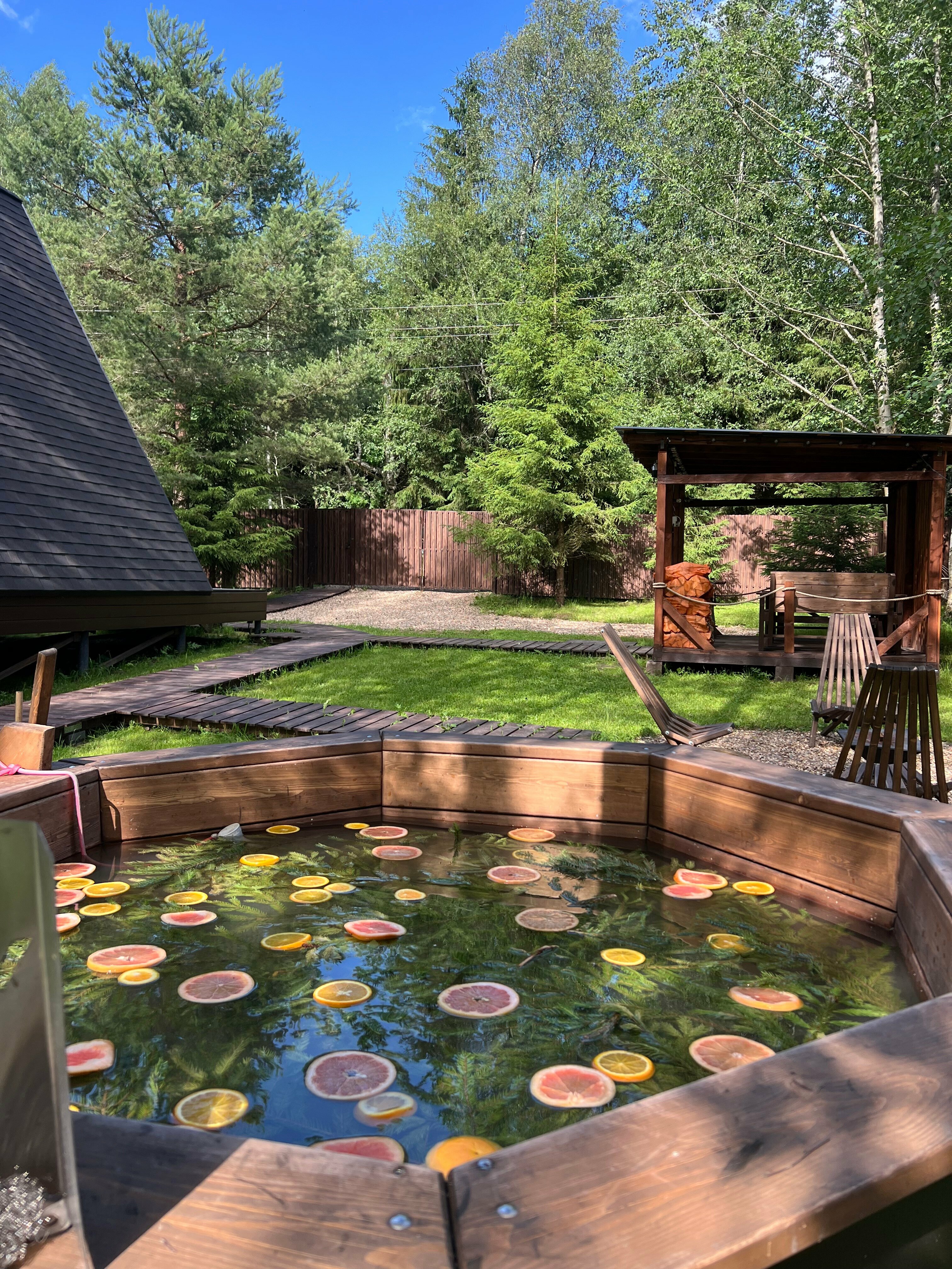 Дом с видом на лес