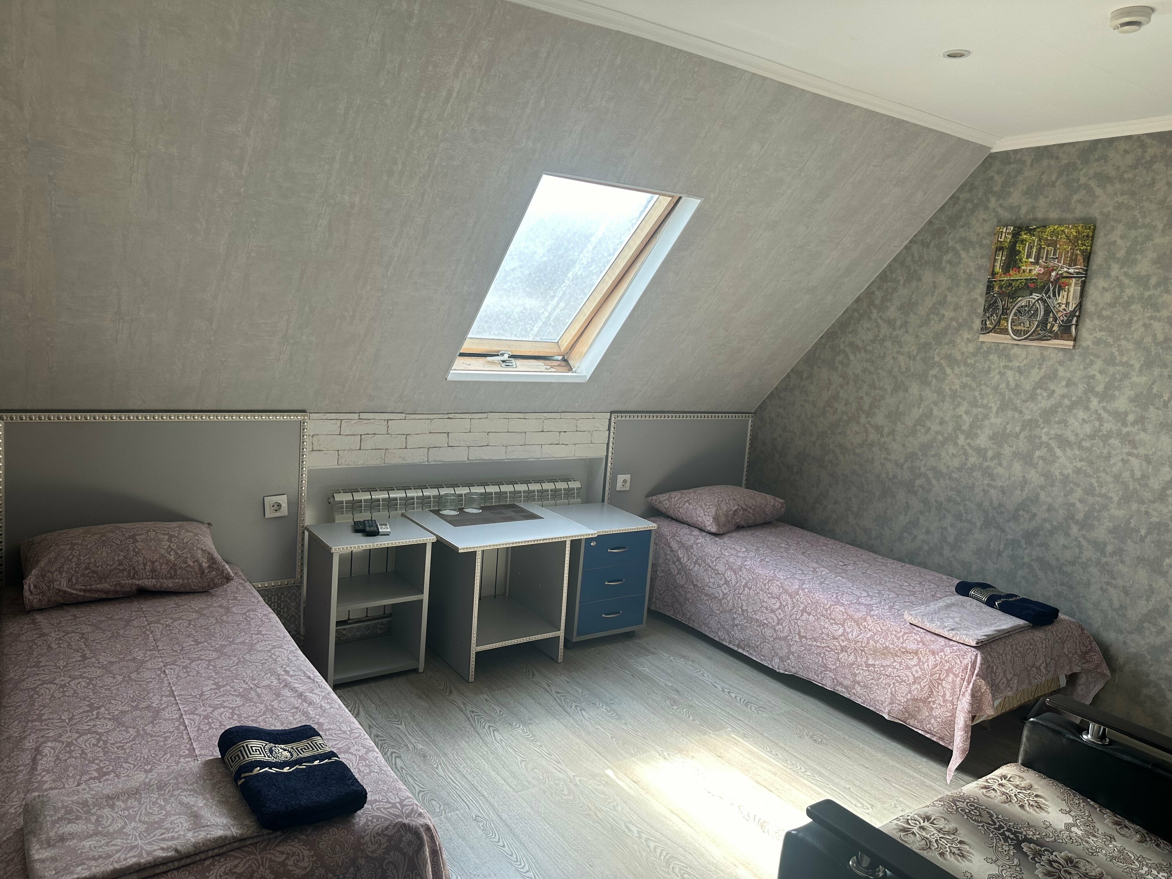 Двухместный номер с 1 кроватью или 2 отдельными кроватями