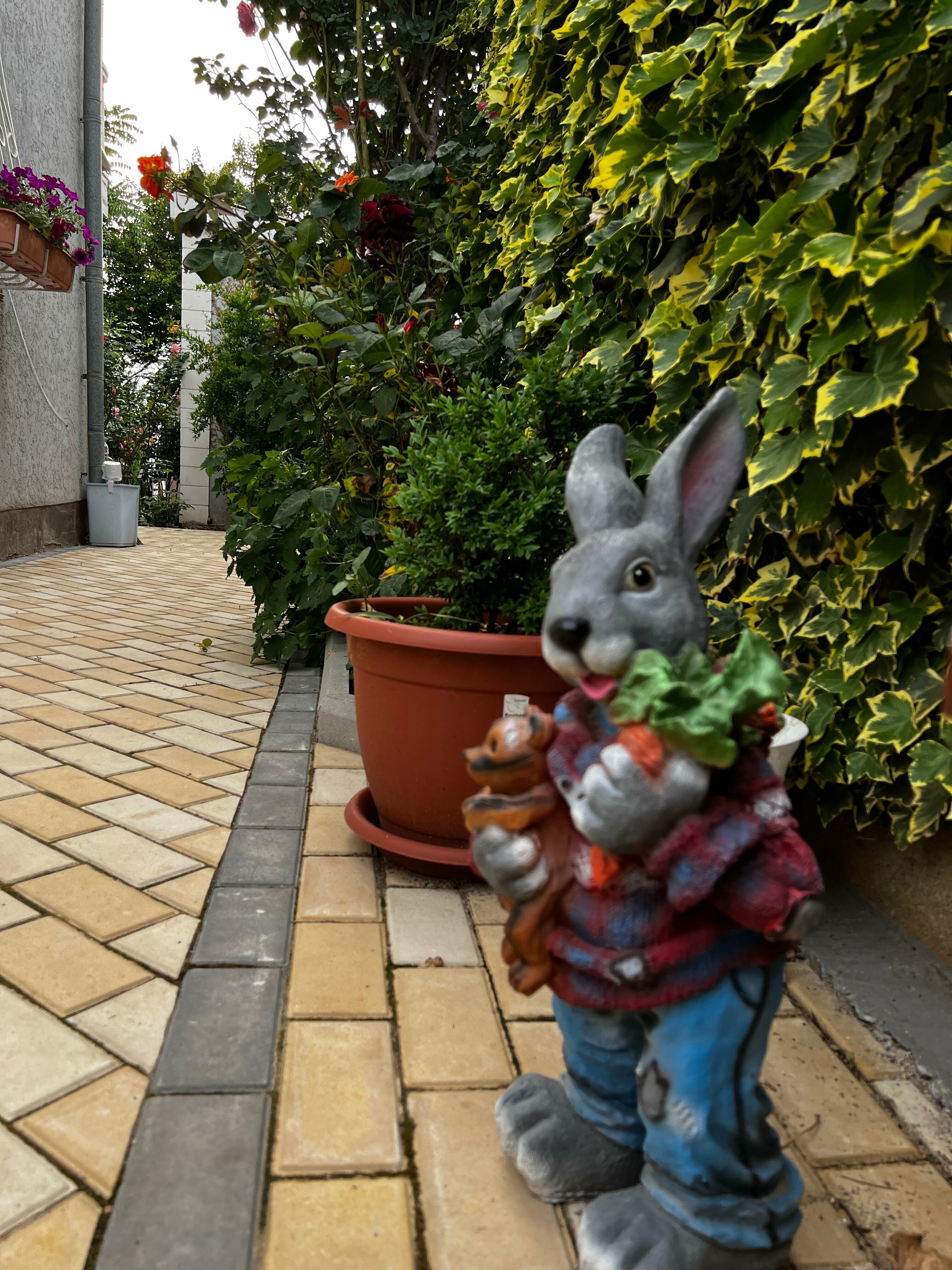 Двухместный номер с 1 кроватью