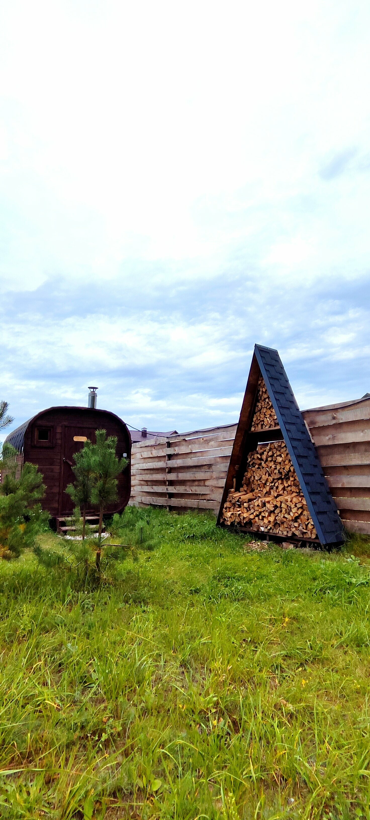 Дом с видом на лес