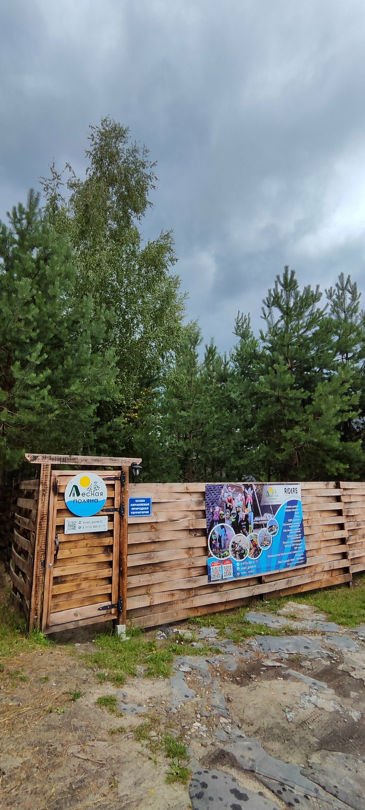 Дом с видом на лес