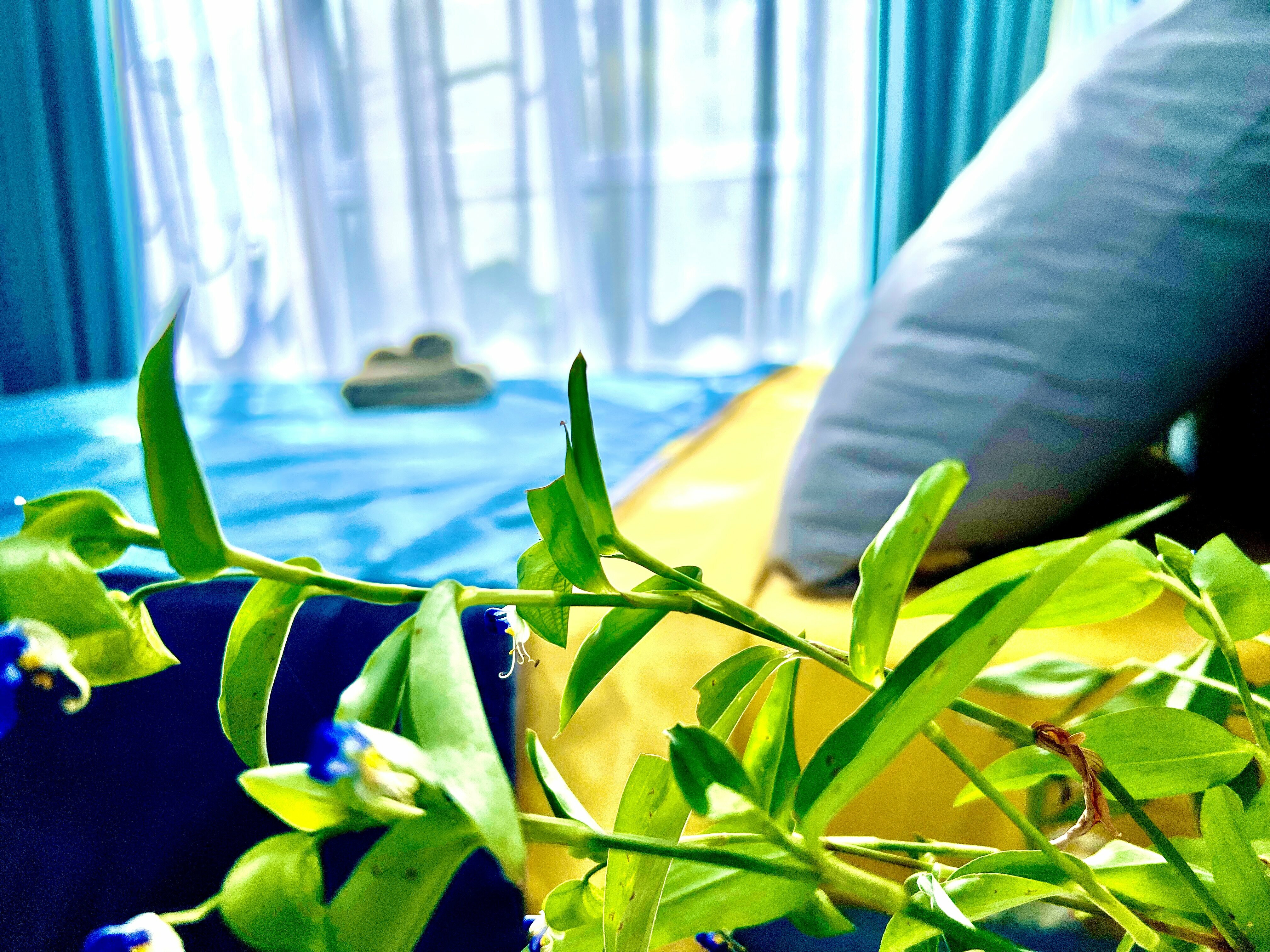 Четырехместный номер с балконом