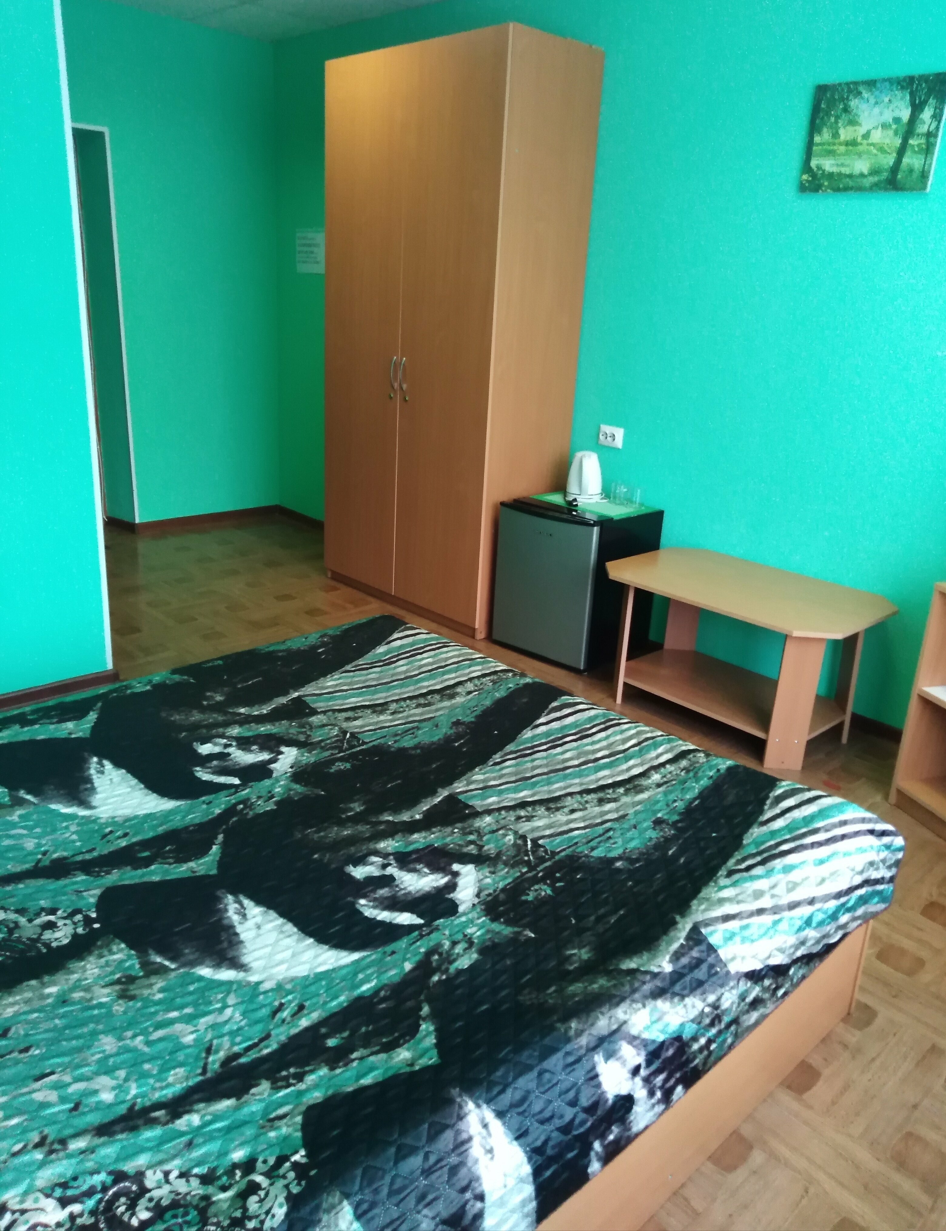 Двухместный номер с 1 кроватью