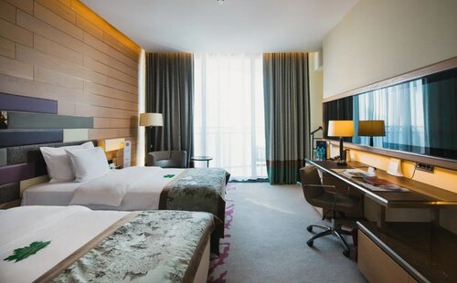 Делюкс с видом на горы/сад (две кровати | трансформируются в одну) в Mriya Resort & SPA