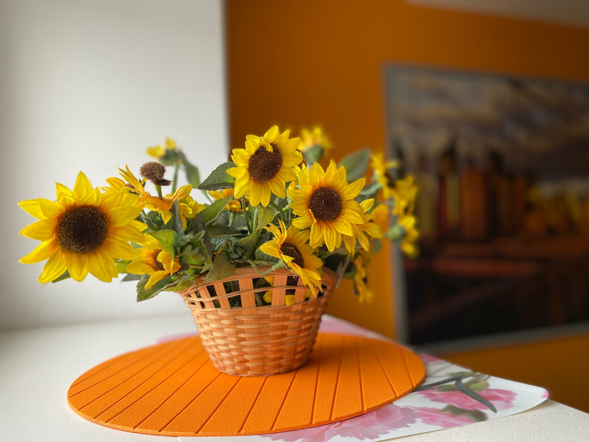 Общий номер для женщин с 8 кроватями