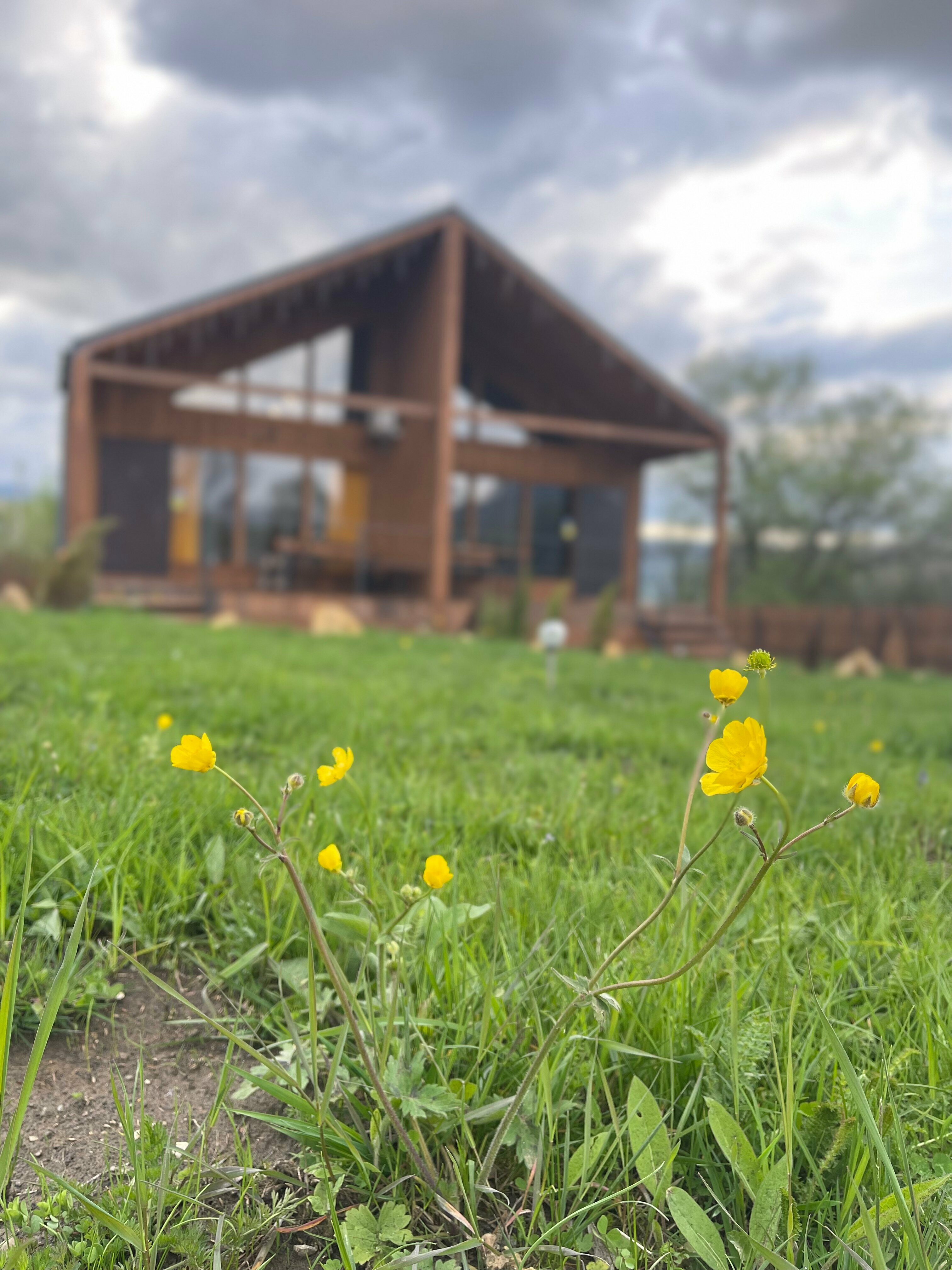 Таунхаус с отдельным входом и собственной террасой 1