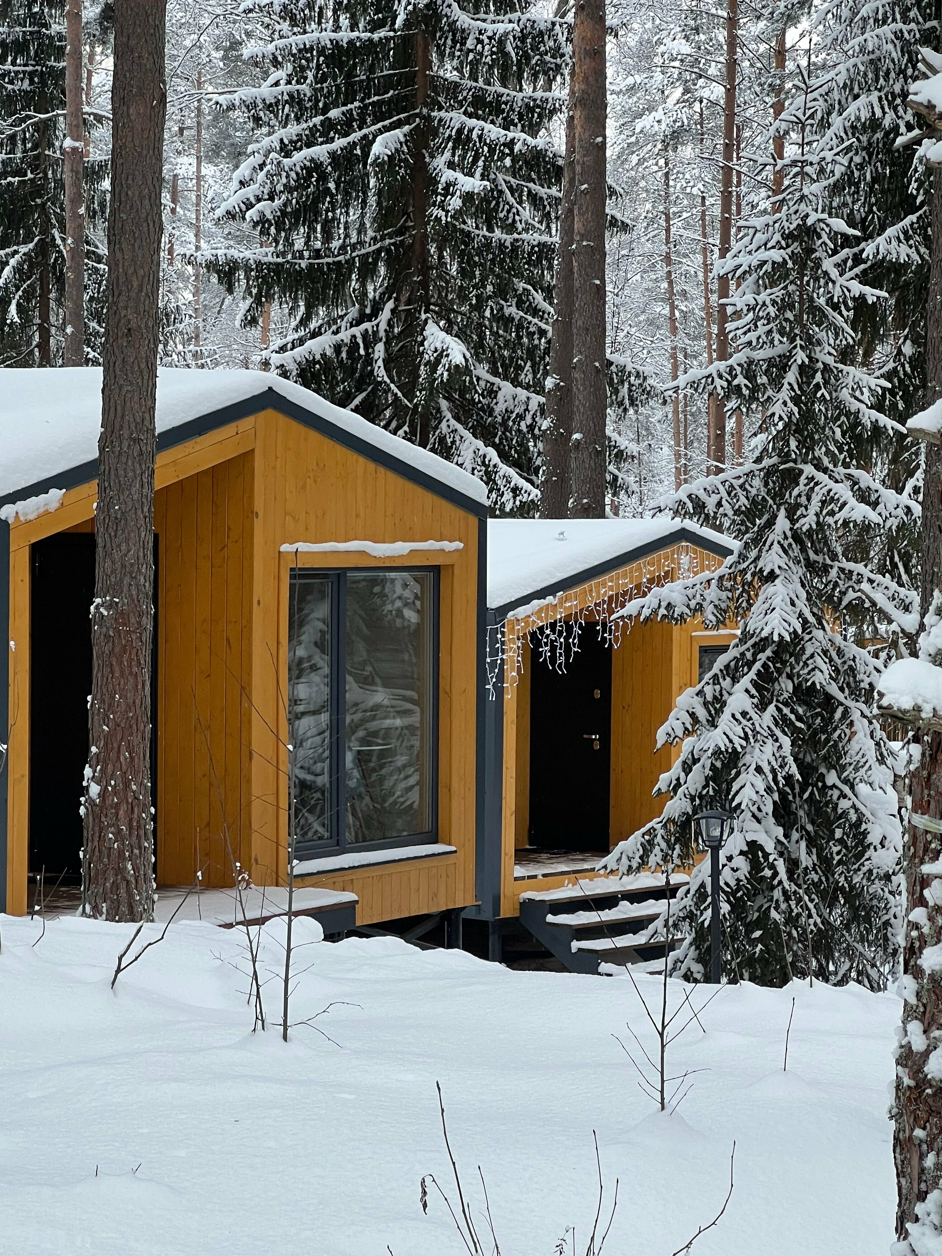 Дом с 1 спальней