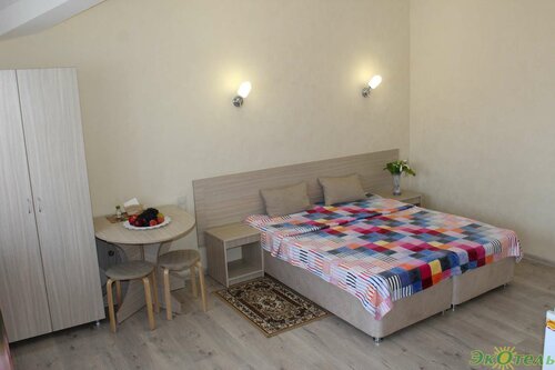 Стандартный трехместный номер-студия в Экотель