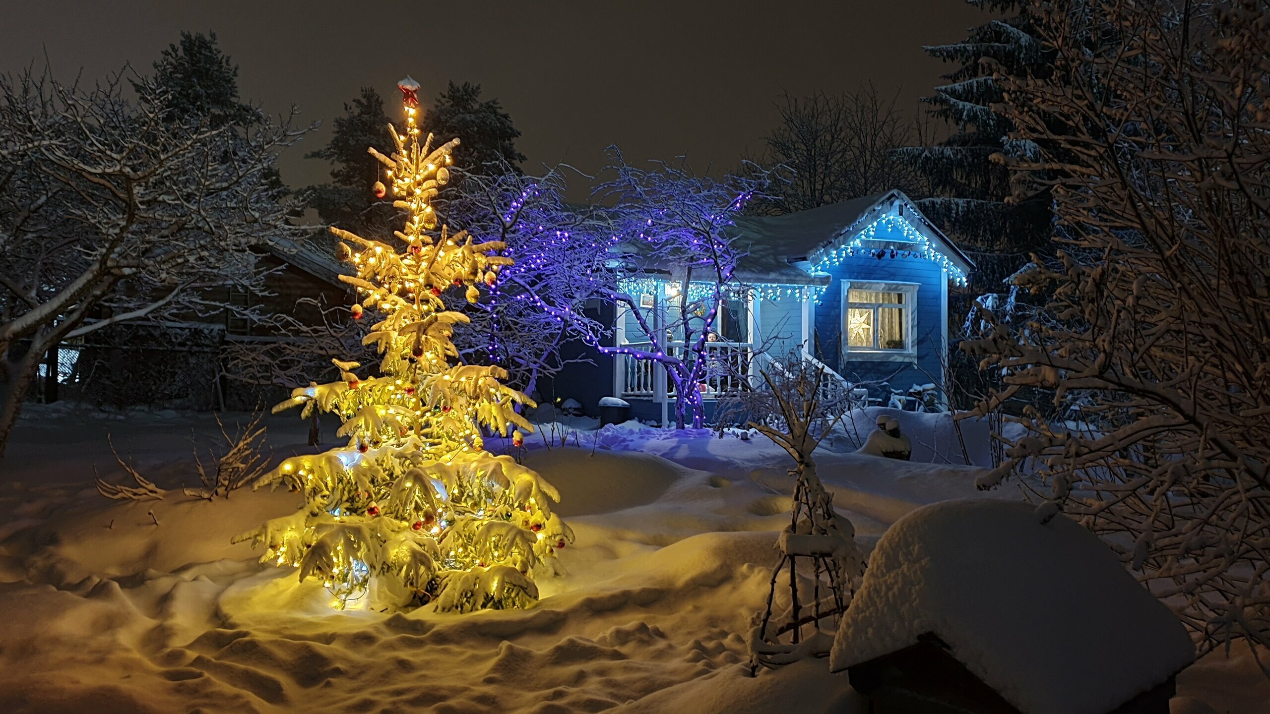 Дом с 1 спальней