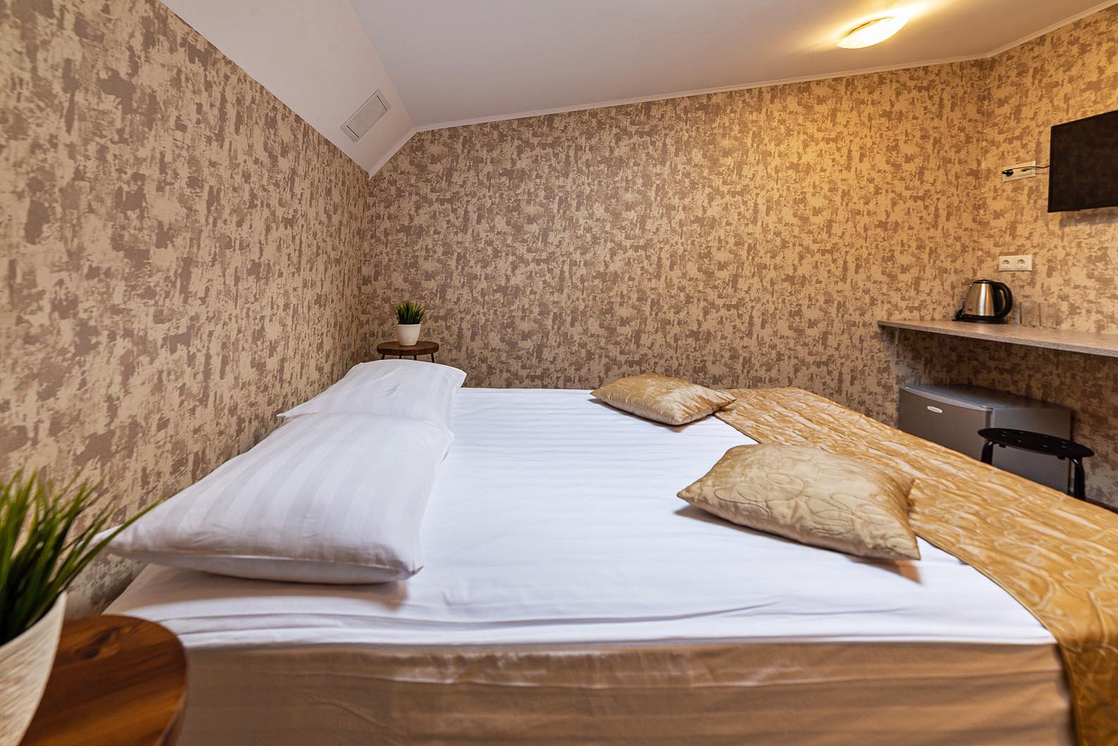 Двухместный номер с 1 кроватью