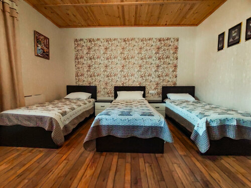 Трехместный номер «Комфорт» с душем в Тёщина роща